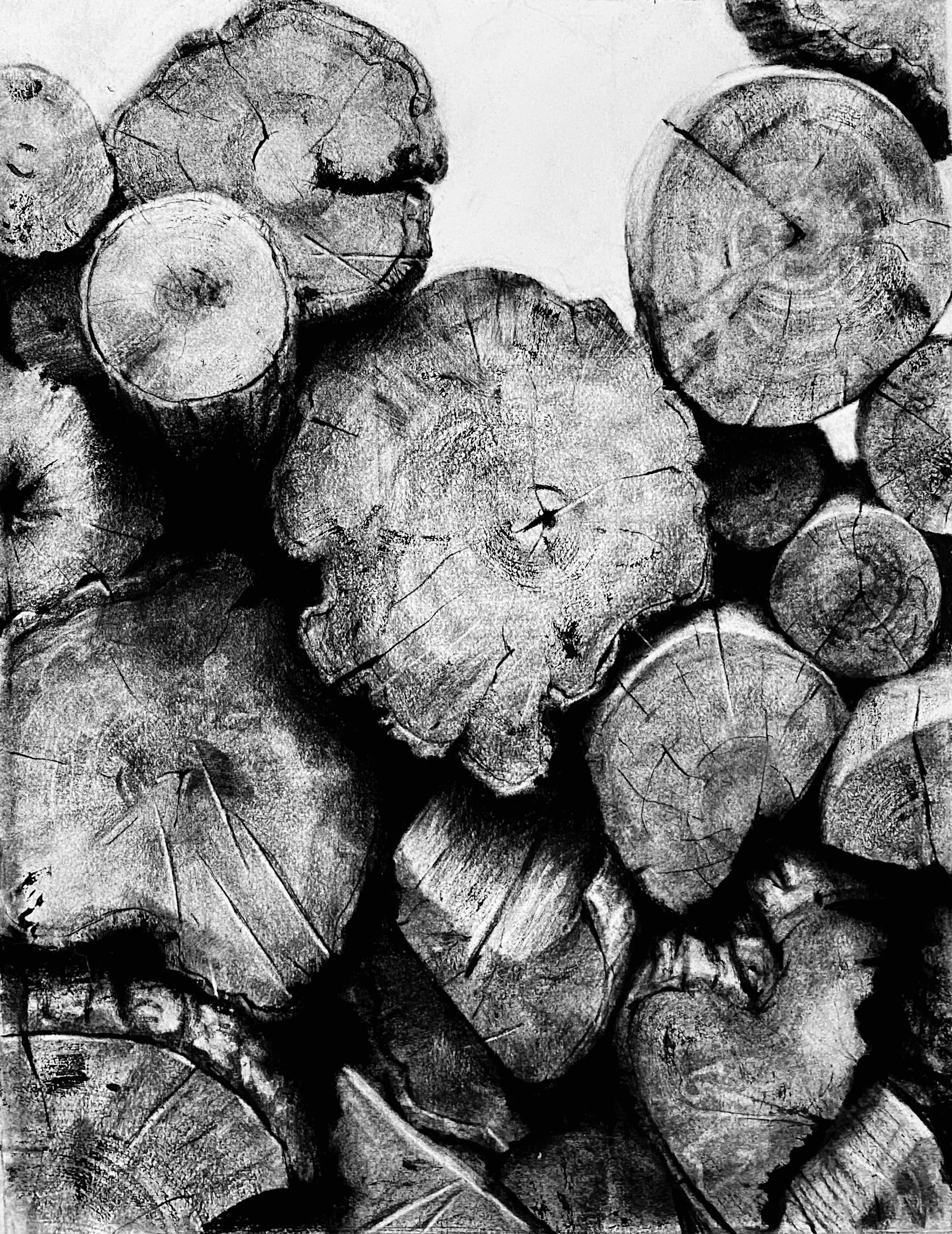 Woodpile VII Charcoal on Rives Paper 28" x 21"