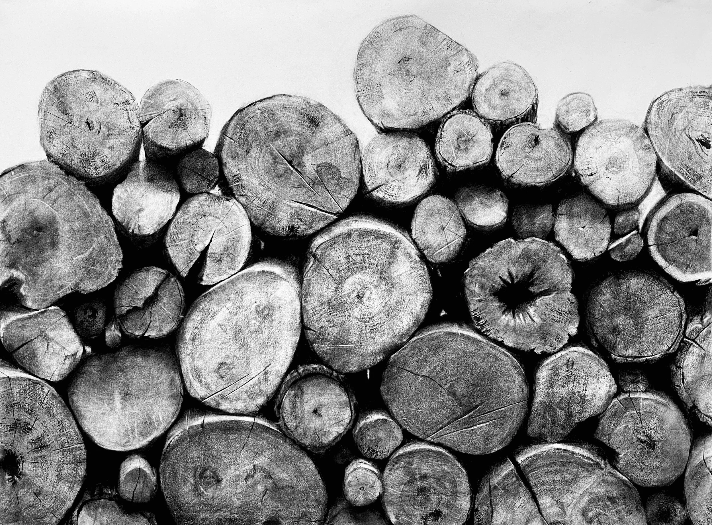 Cordwood II  Charcoal on Rives Paper 32' x 42.5"
