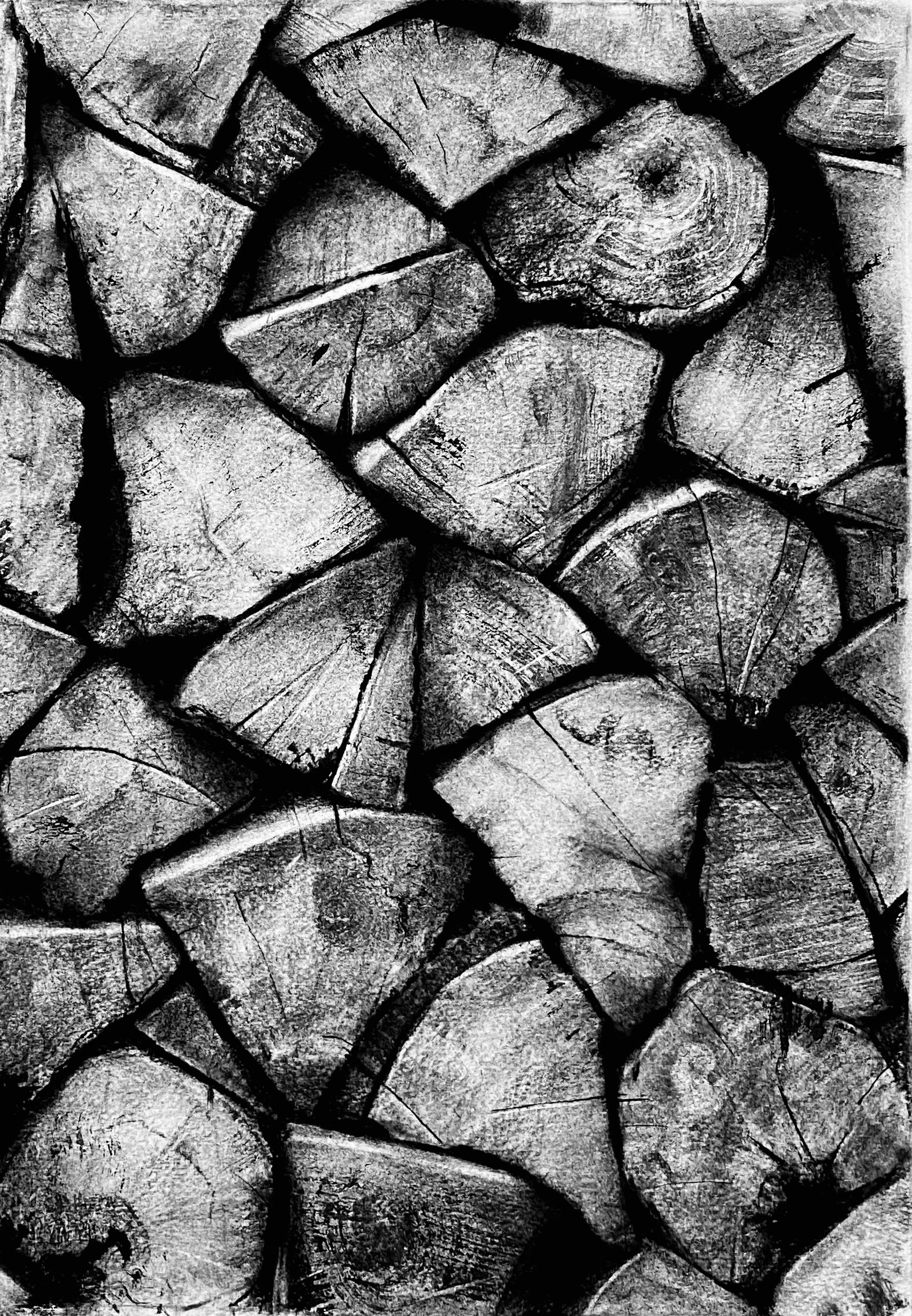 Woodpile iX Charcoal on Rives Paper 21" x 15"