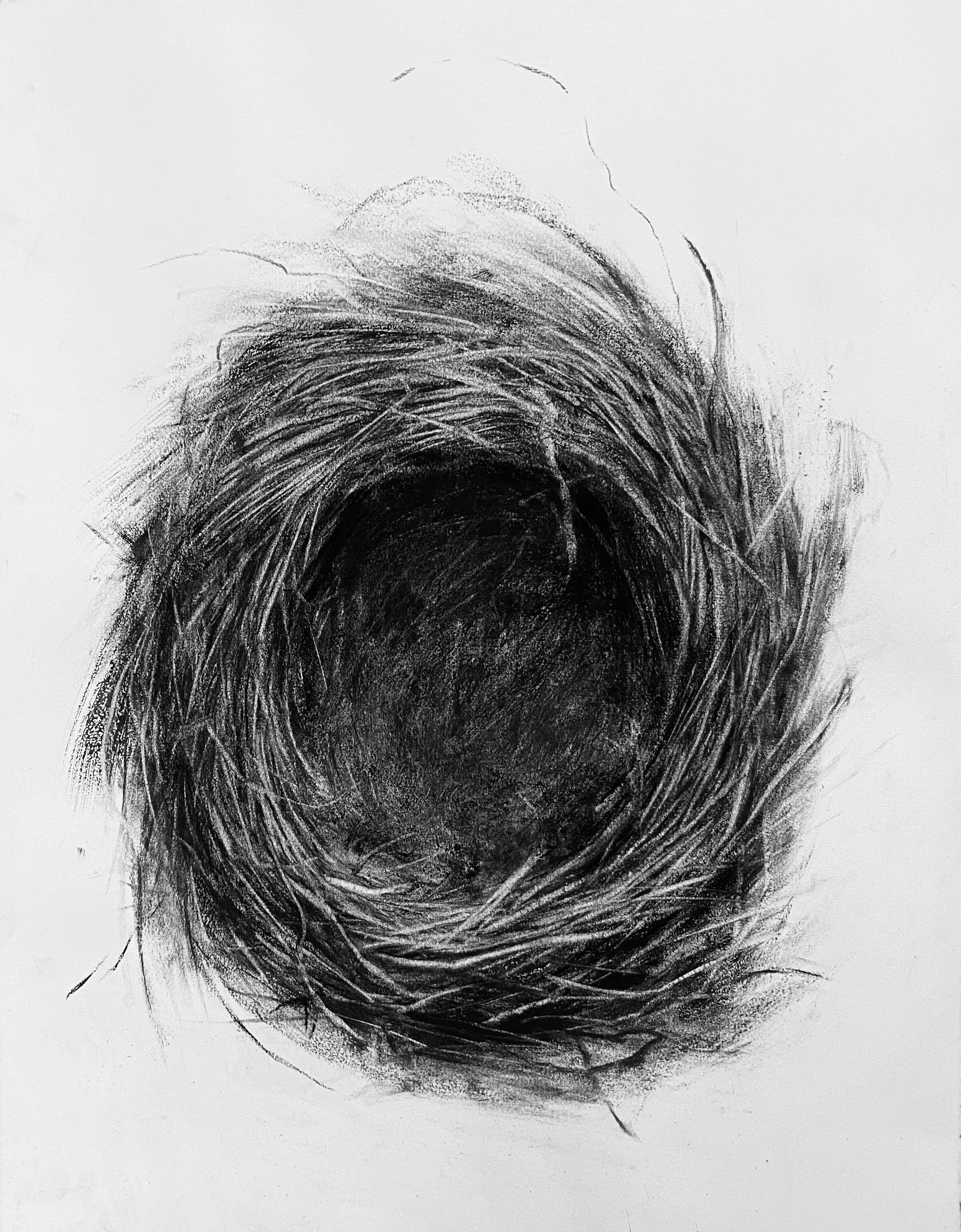 Large Nest II 
Charcoal on Rives Paper 30" x 22.5"