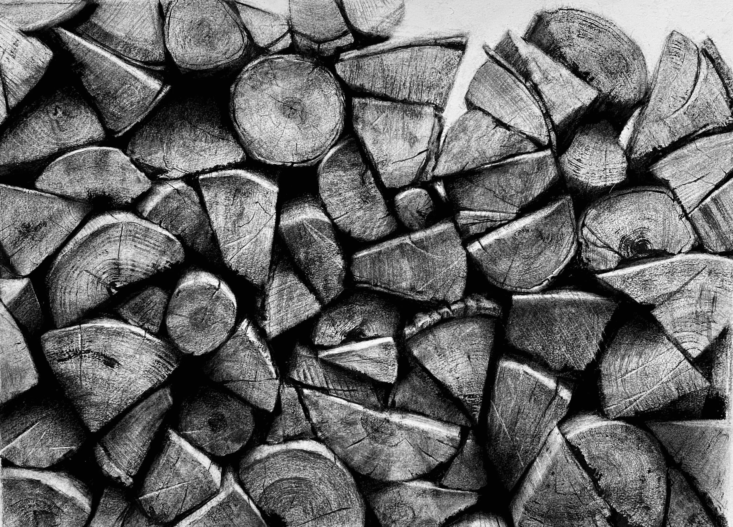 Woodpile VII 
Charcoal on Rives Paper 22.5" x 30"