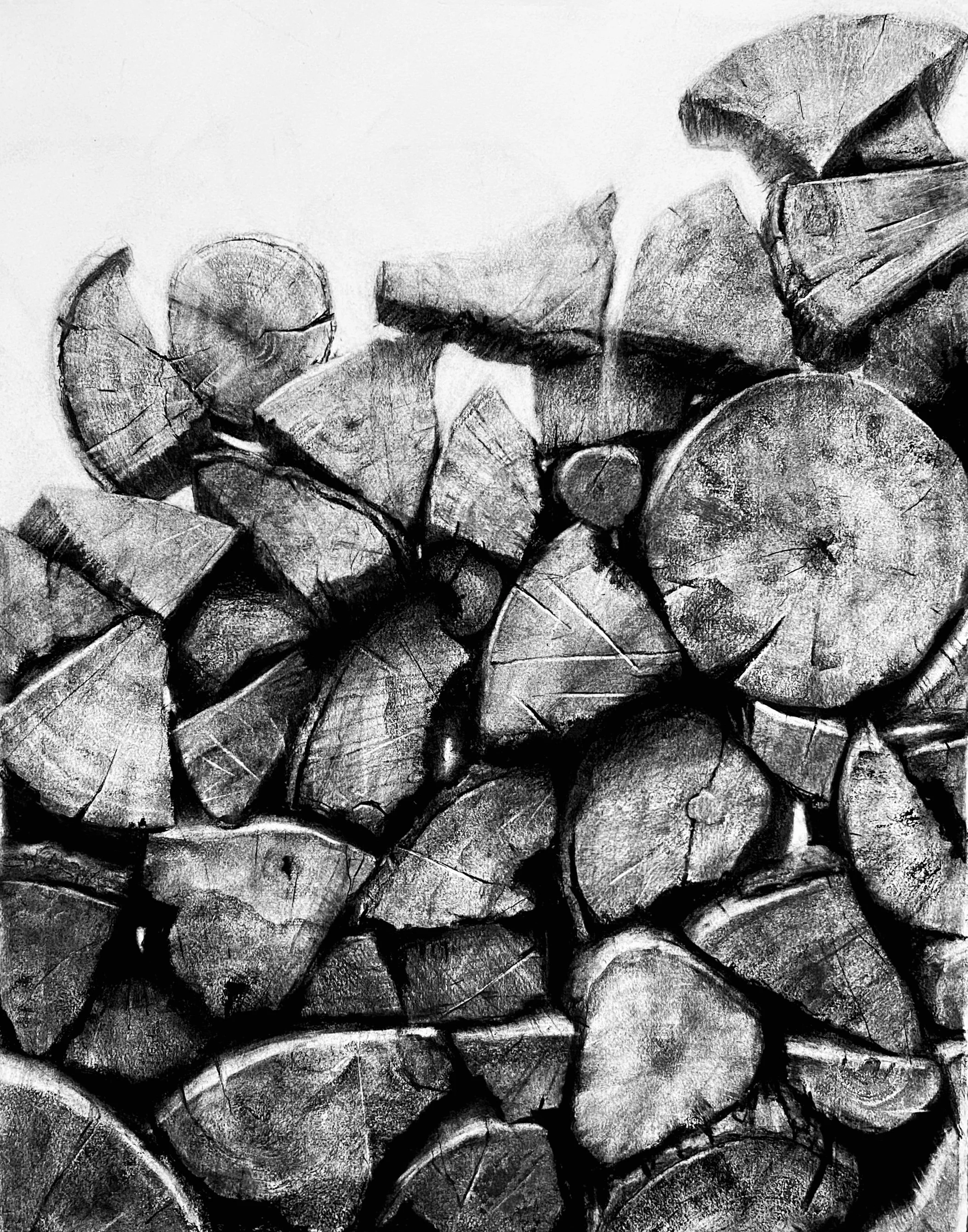 Spring I Charcoal on Rives Paper 30" x 22.5"