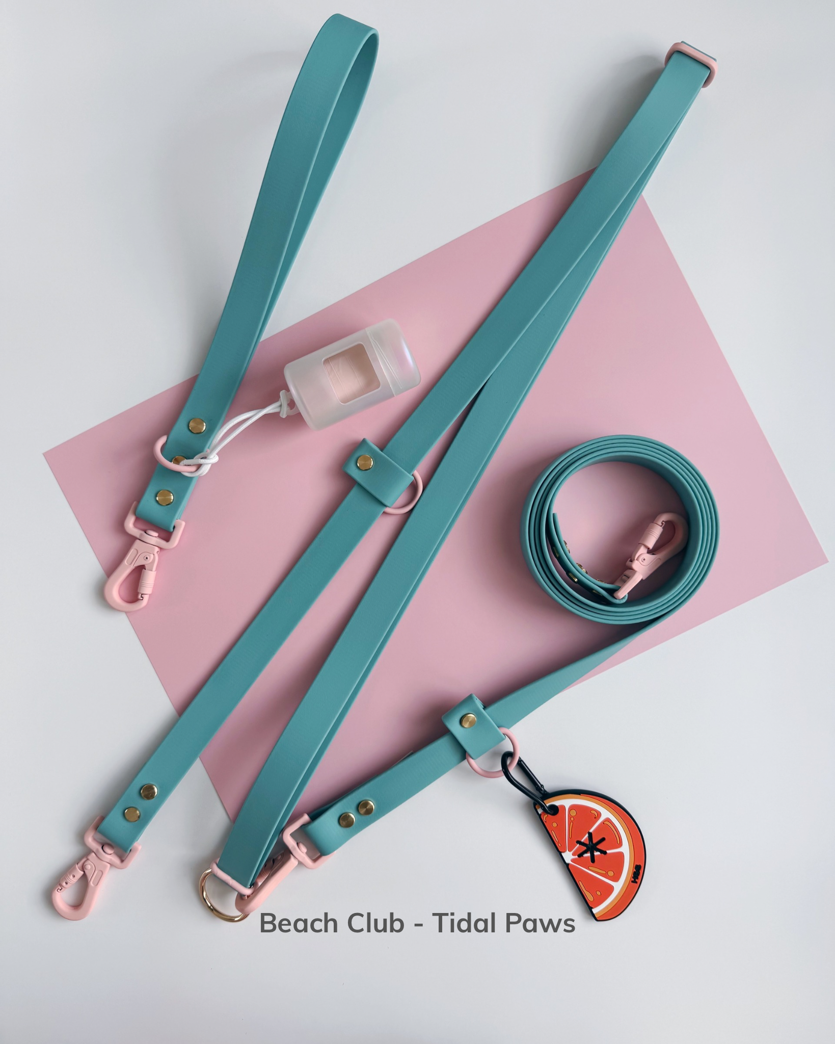 Beach Club - Tidal Paws.png
