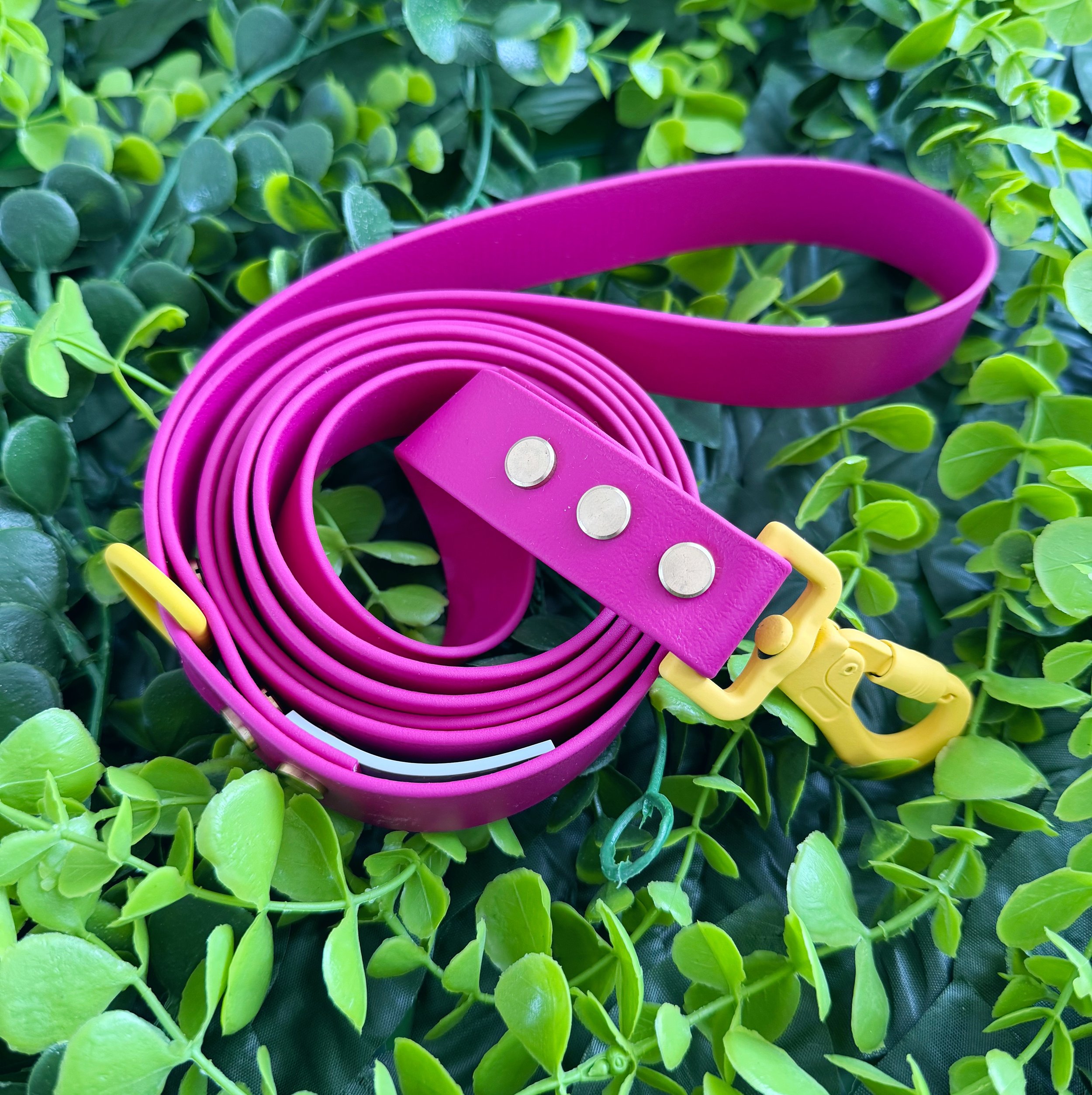 DOG LEASH - THE GROVE - GROVE BERRY