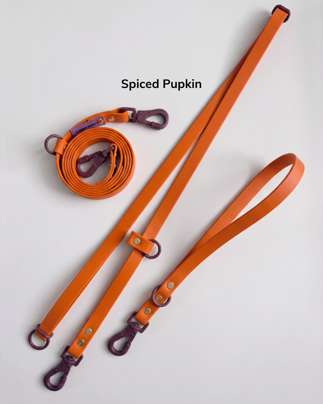 Spiced Pupkin.png