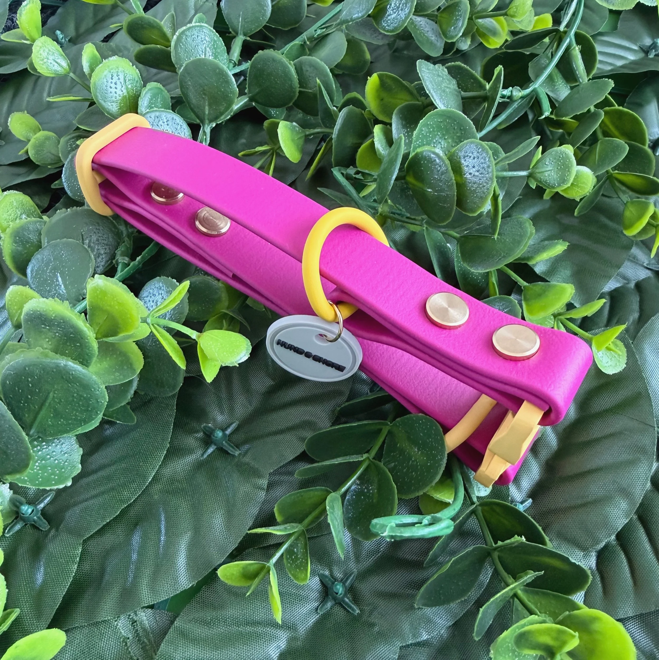 Grove Berry magenta biothane dog collar with matte yellow hardware from The Grove Collection by Hund and Shore