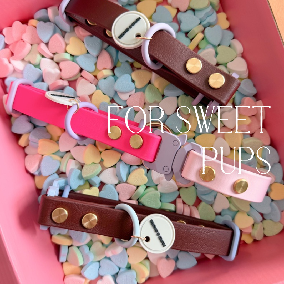 Dog collars for Valentines Day