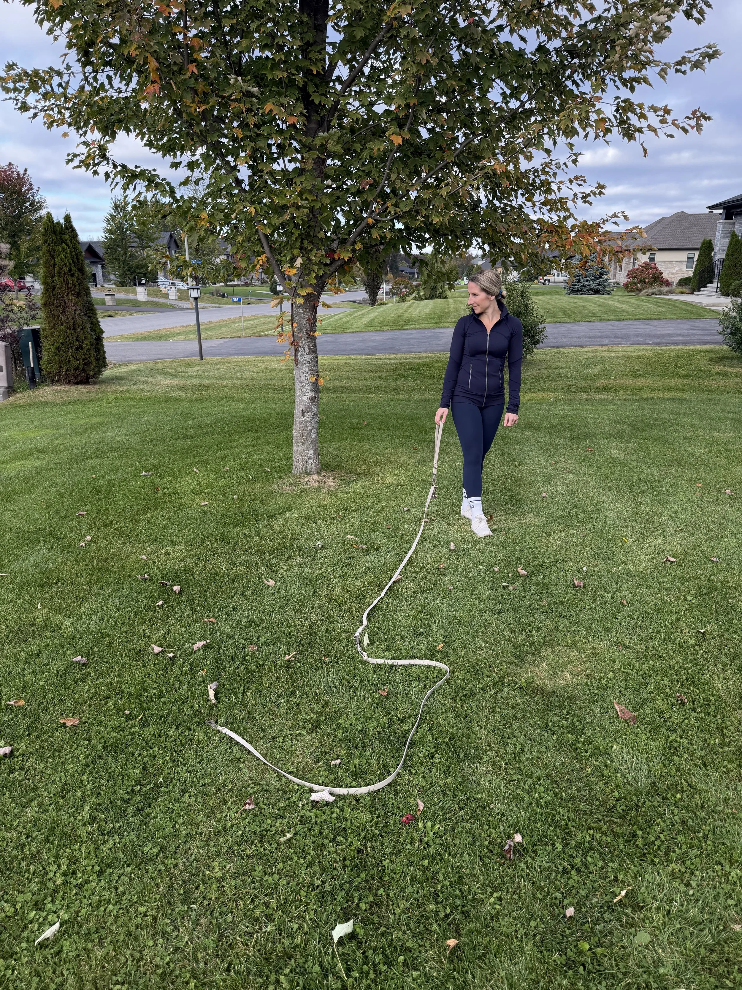 Hands-free long line dog leash