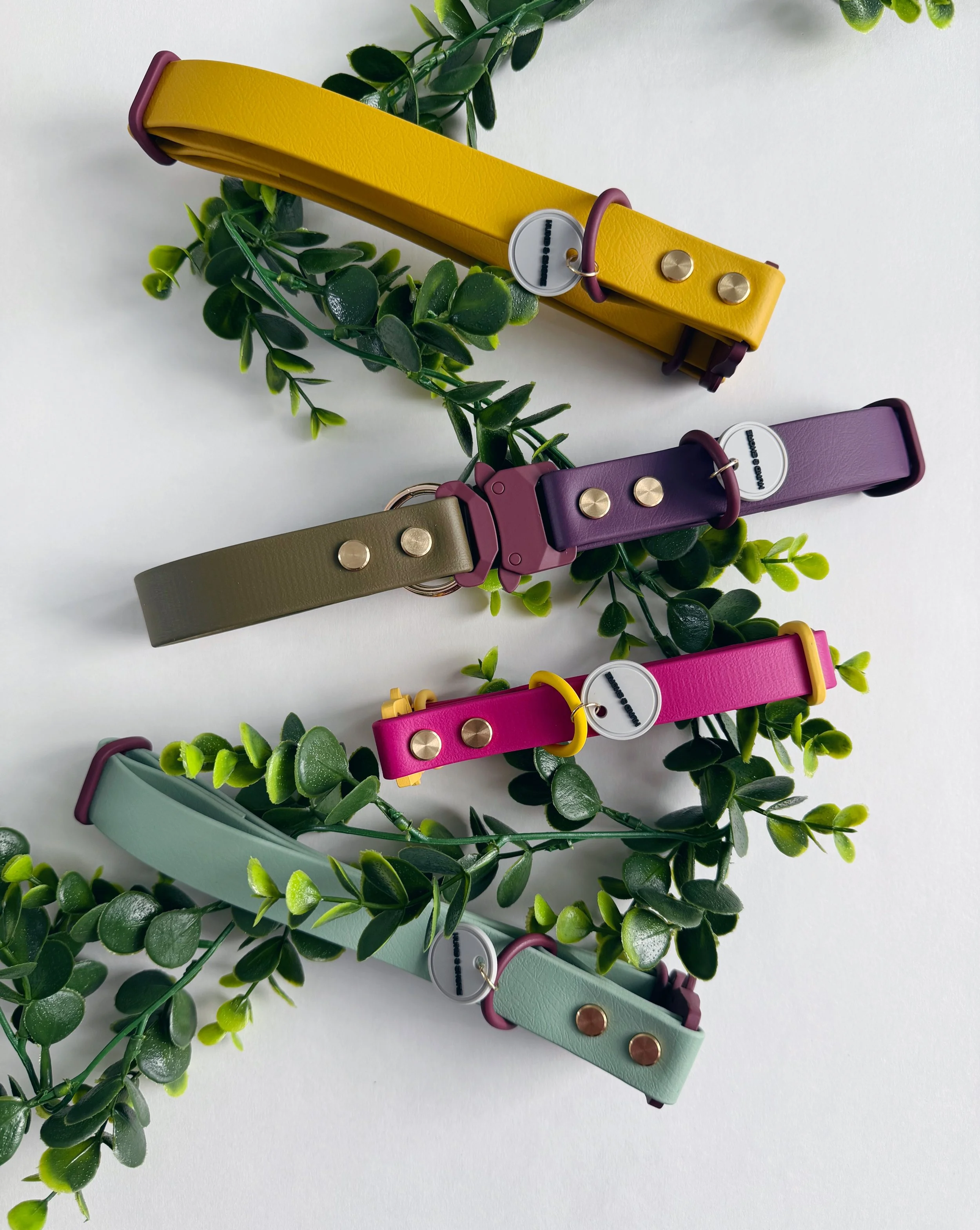 The Grove Collection by Hund and Shore featuring Grove Berry Fig Hound Dewy Paws and Sunspot biothane dog collars and leashes Early Spring 2026