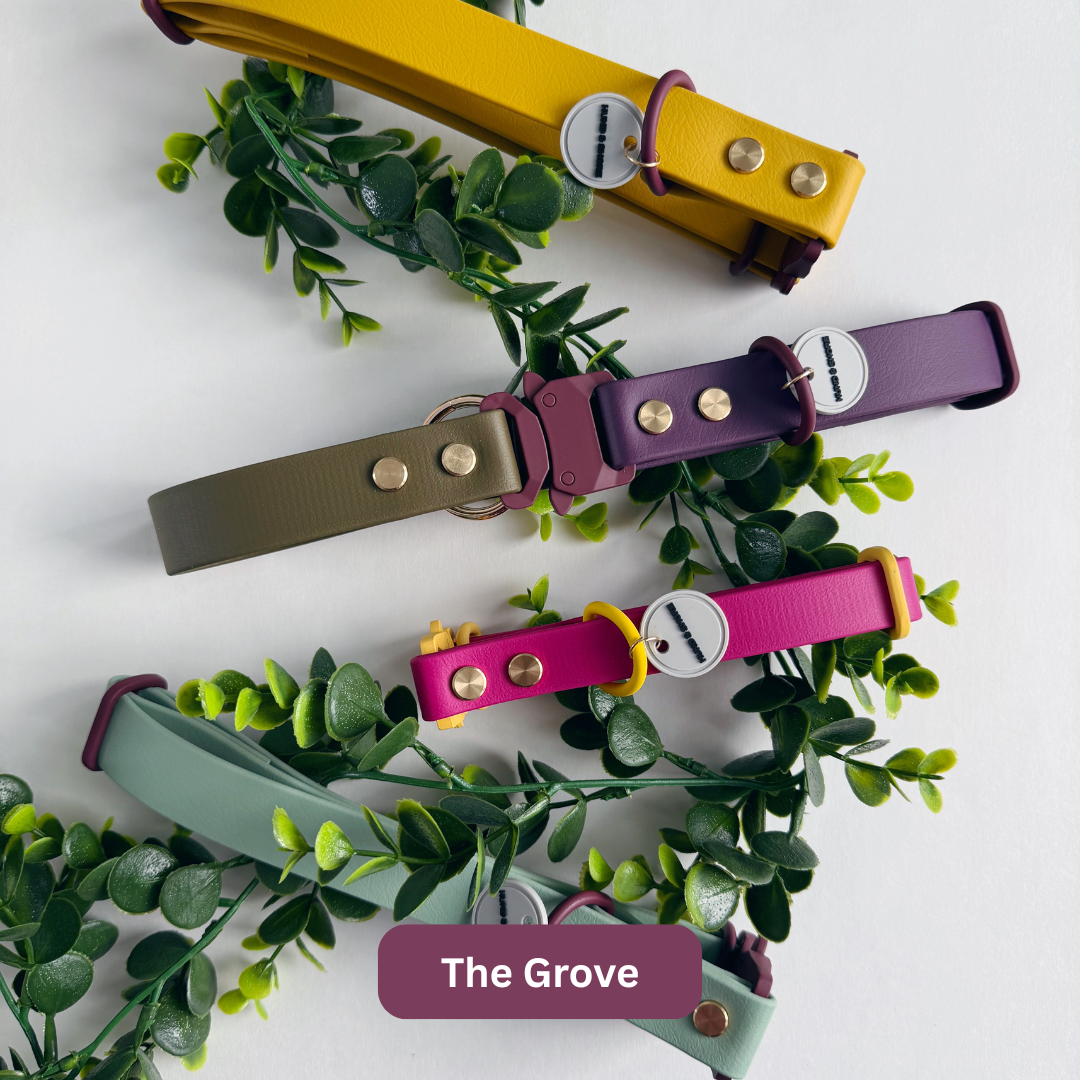 The Grove Collection Hund and Shore Collars