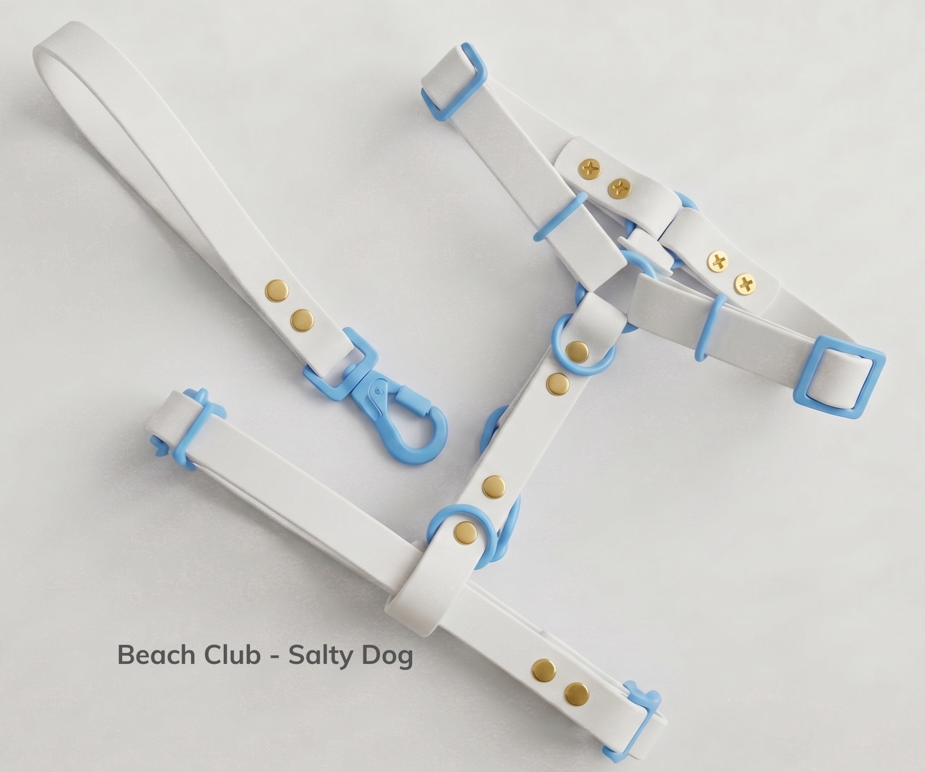 Beach Club - Salty Dog.png