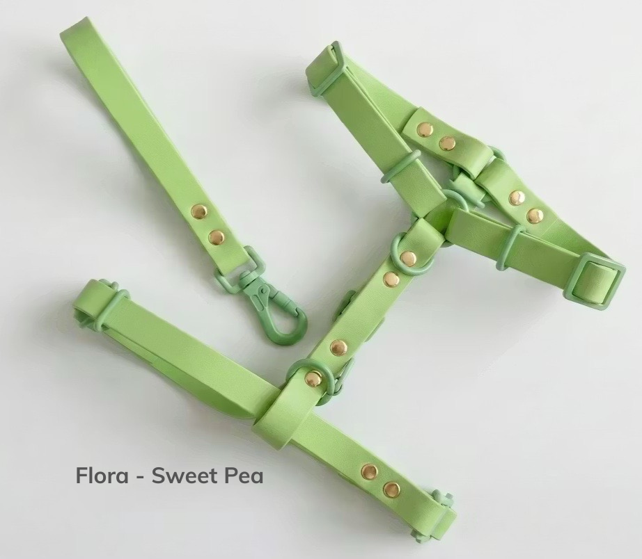 Flora - Sweet Pea (1).png