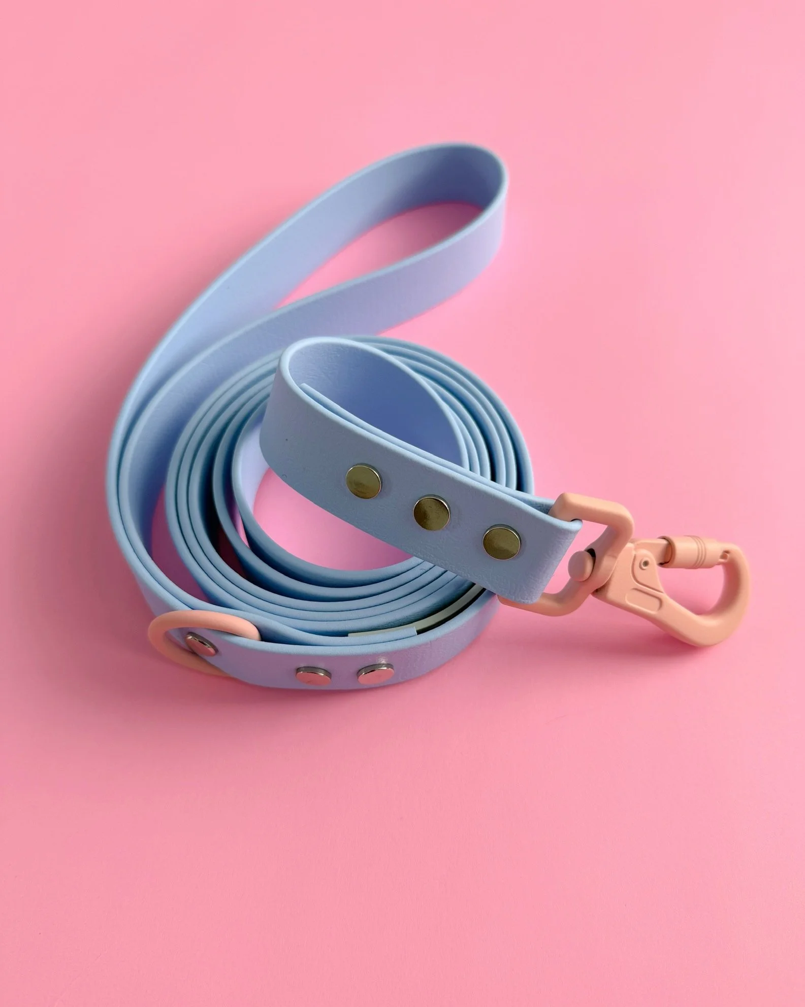 DOG LEASH - ALPINE SKI CLUB - FRESH PAW-DER