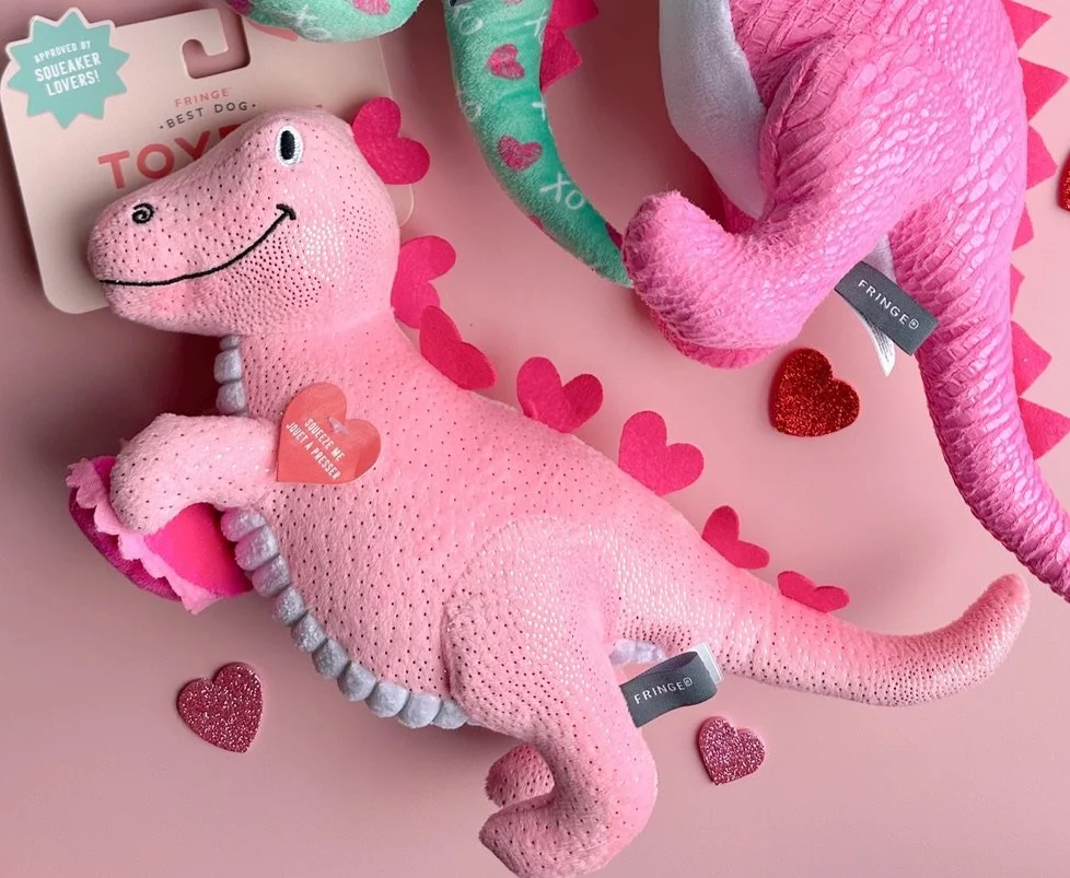 SMALL ARMS BIG HEART REX PLUSH DOG TOY