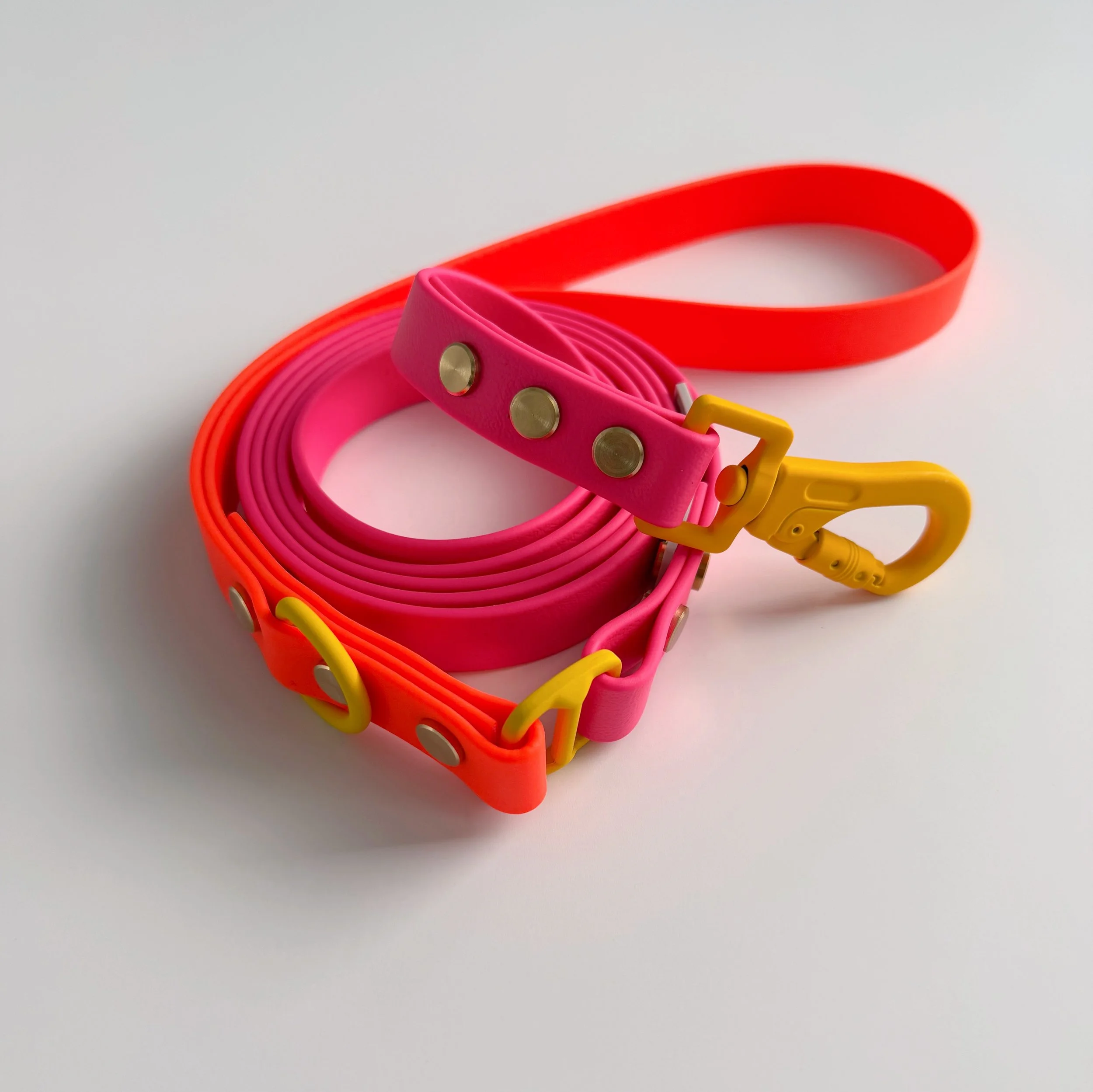 DOG LEASH - ROVER SPLASH - SUNSET WAG