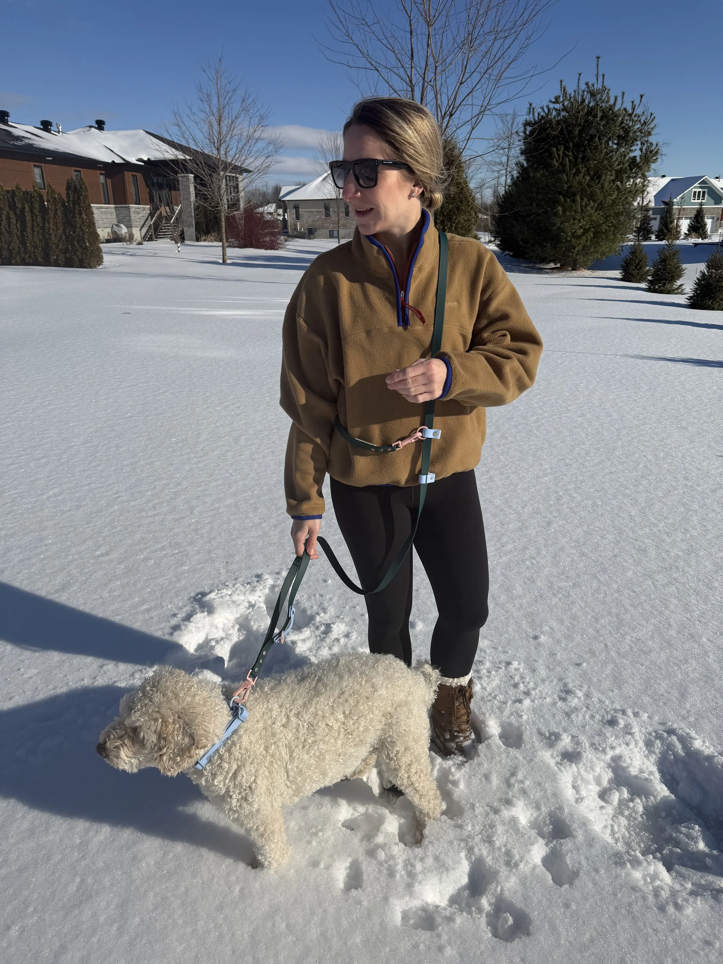 The Modern Dog Mom's Guide to Stylish, Functional Dog Accessories