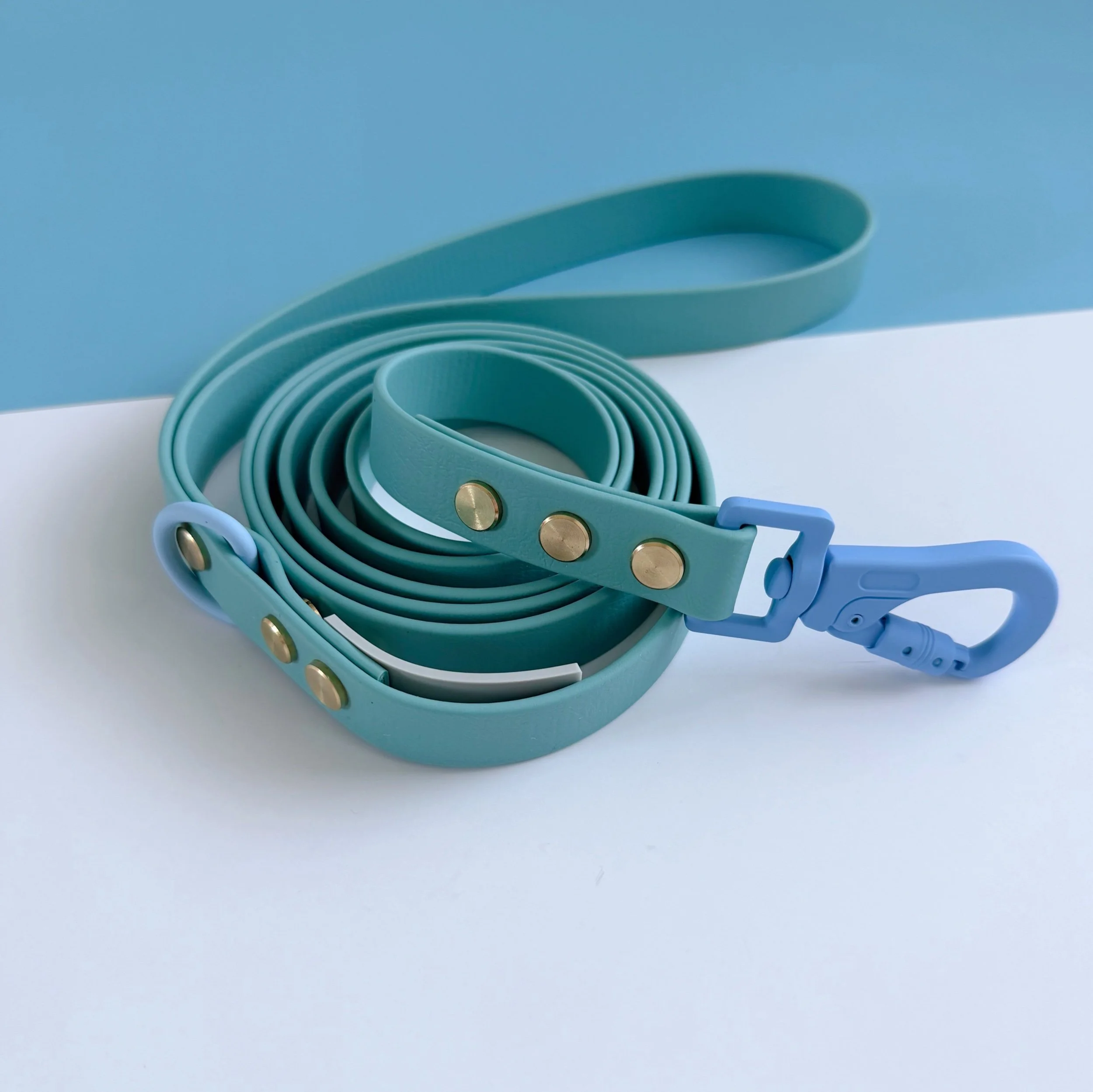 DOG LEASH - ROVER SPLASH - SALTWATER SNOUT