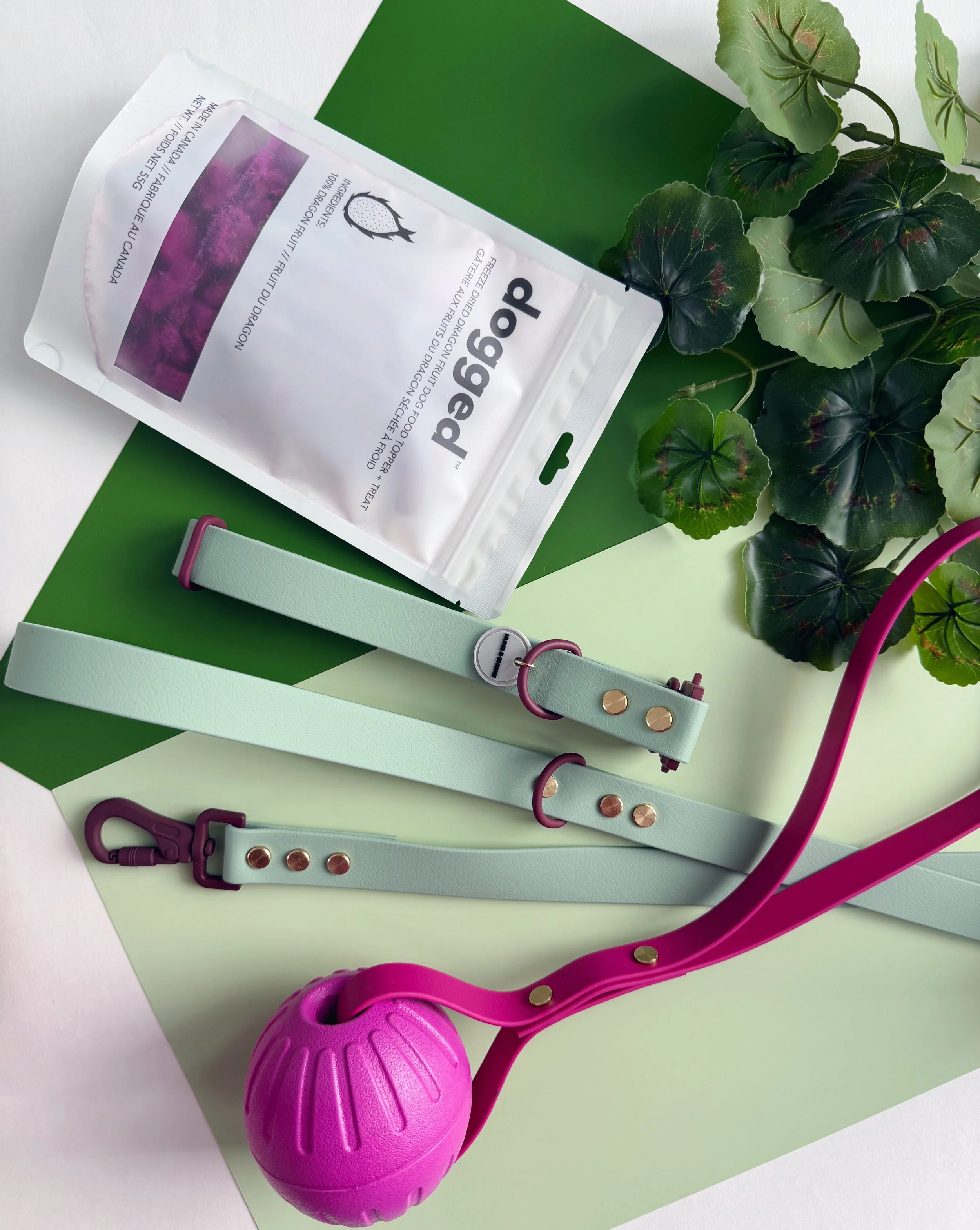 Dewy Paws sage biothane dog collar and leash set with matte plum hardware and gold rivets from The Grove Collection by Hund and Shore