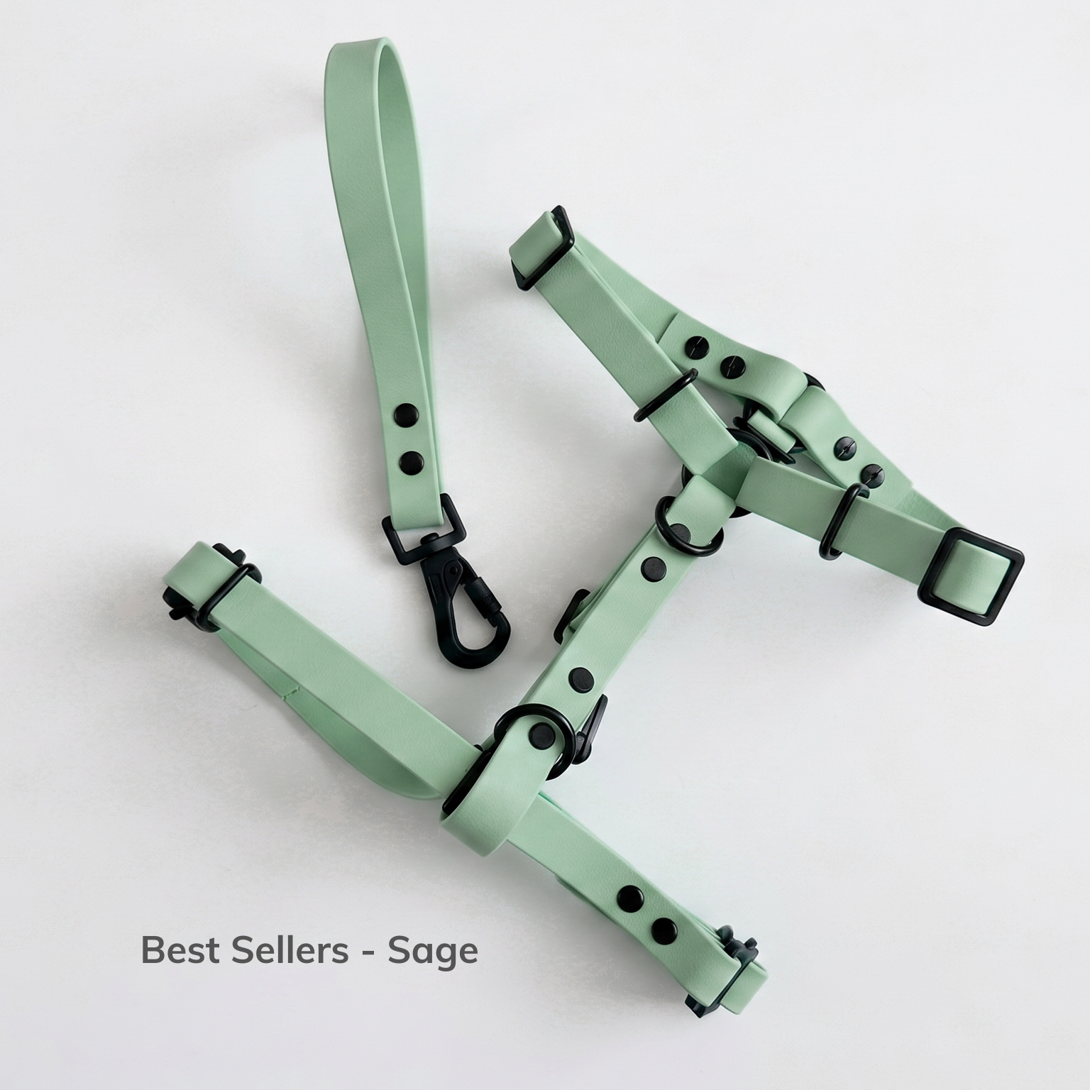 Best Sellers - Sage.png