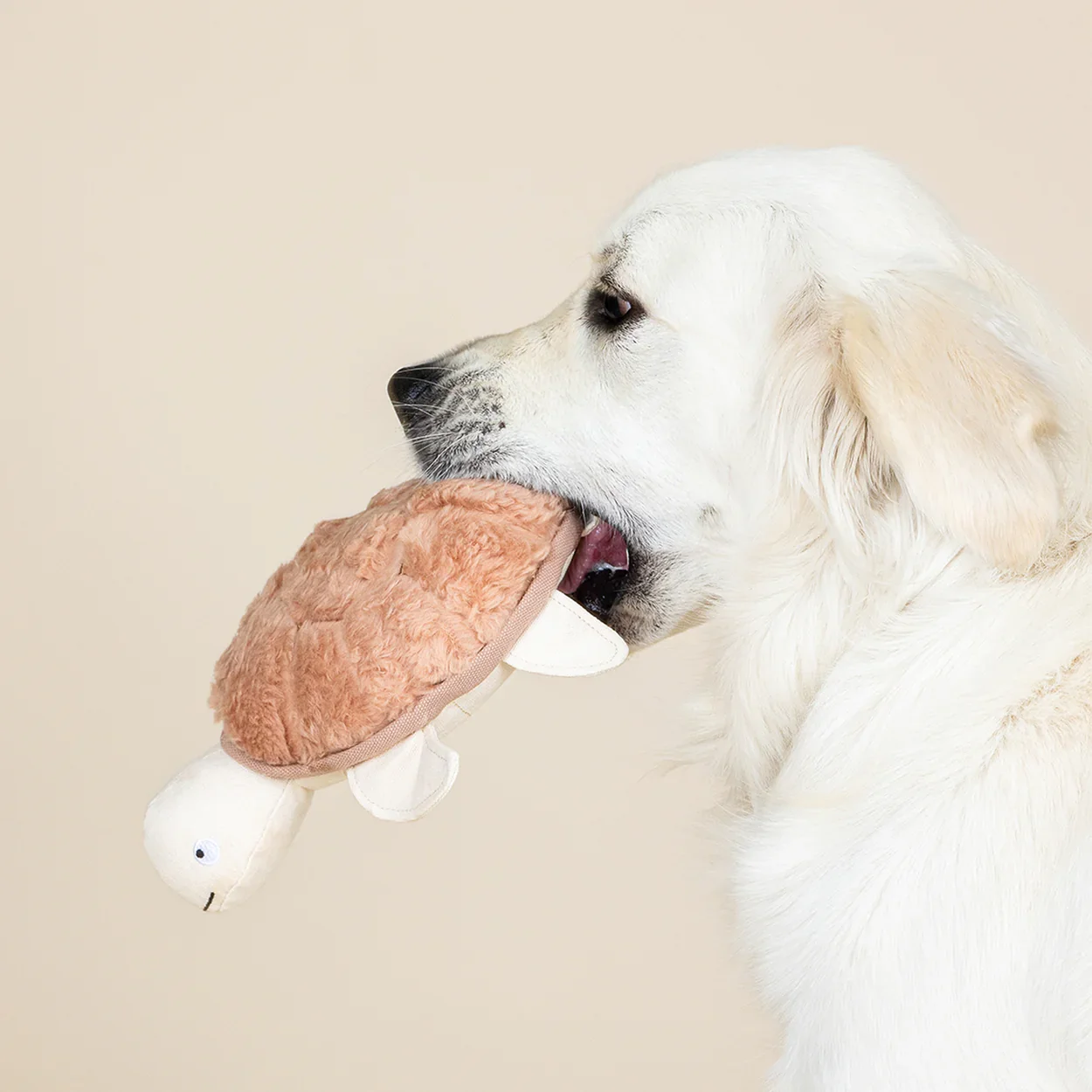Dog playing with Fringe Studio Out of My Shell eco friendly recycled squeaky plush dog toy available at Hund and Shore