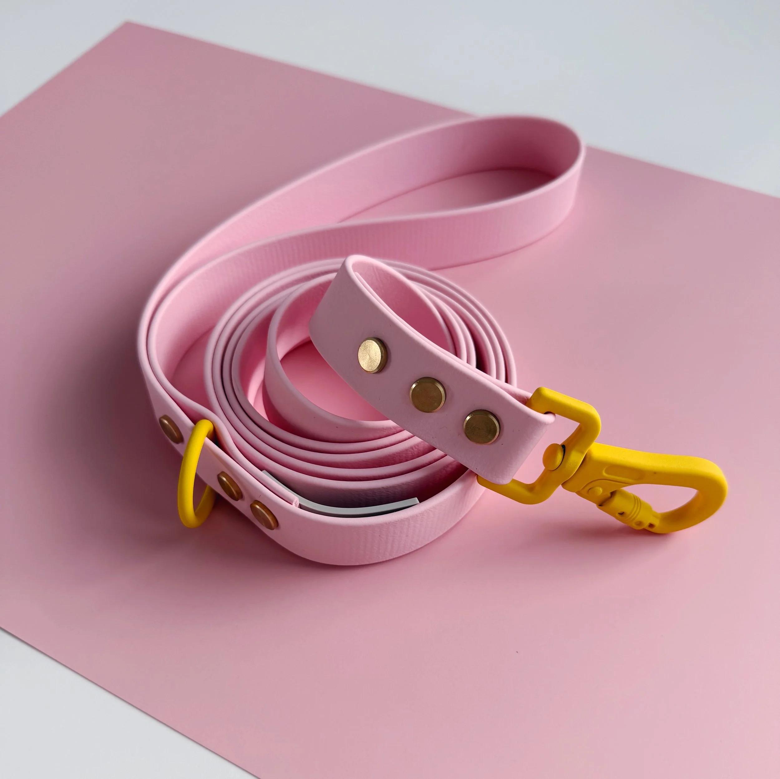 DOG LEASH - BEACH CLUB - CABANA