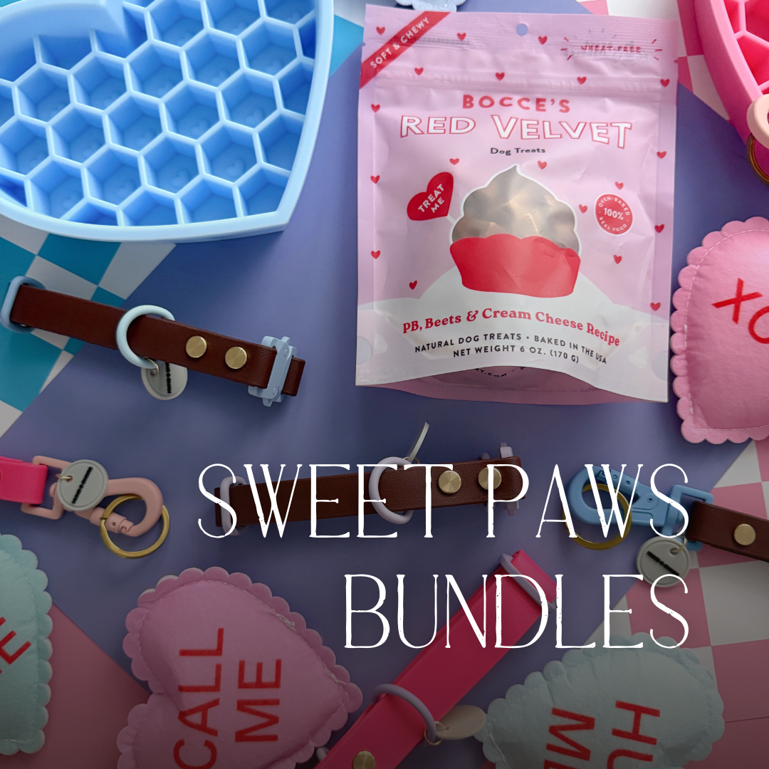 Dog collar and leash bundle for Valentines day