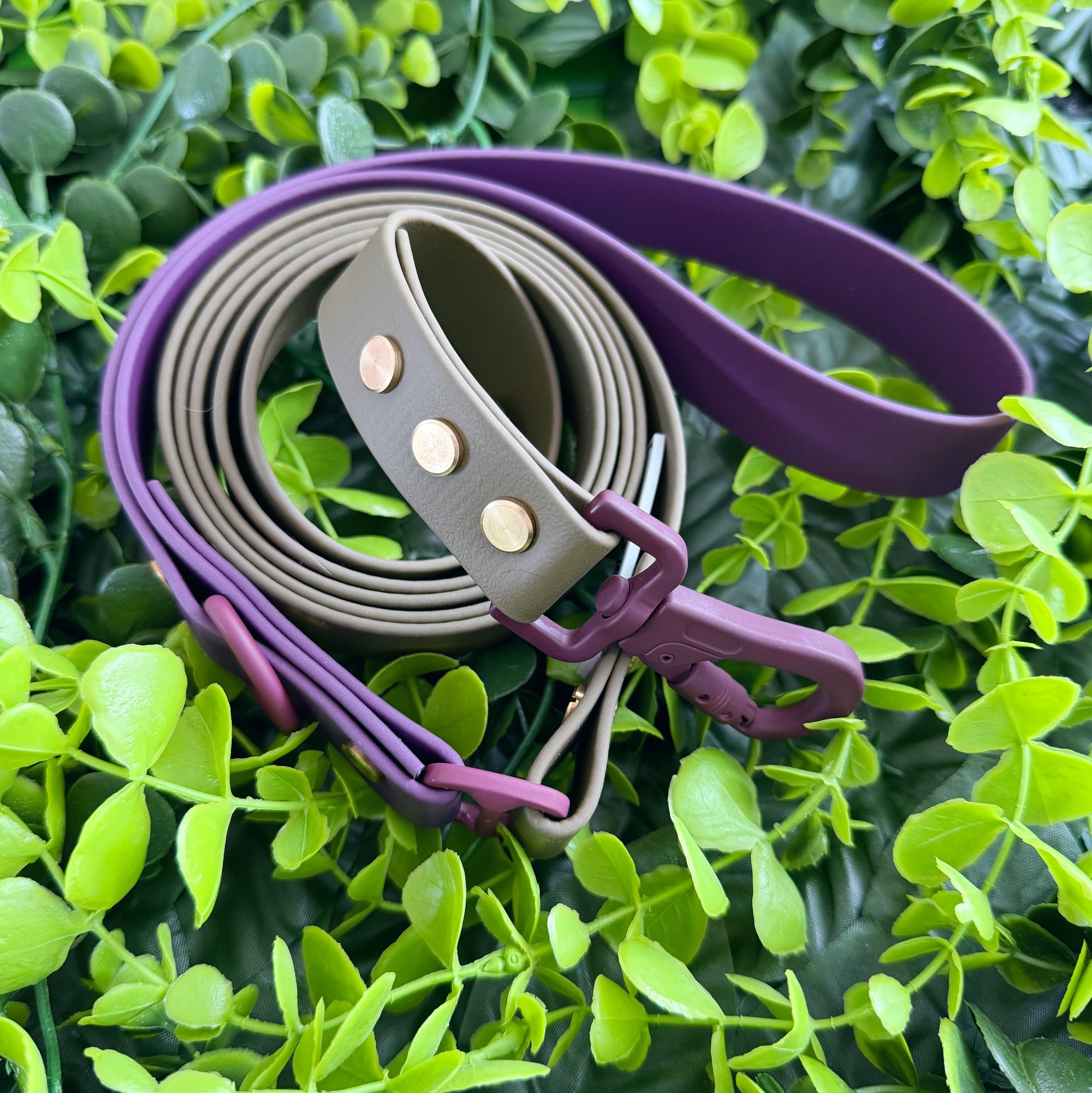 DOG LEASH - THE GROVE - FIG HOUND