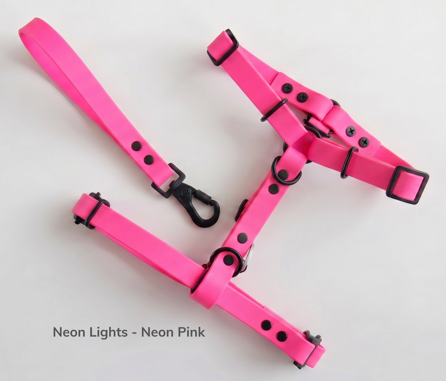 Neon Lights - Neon Pink.png