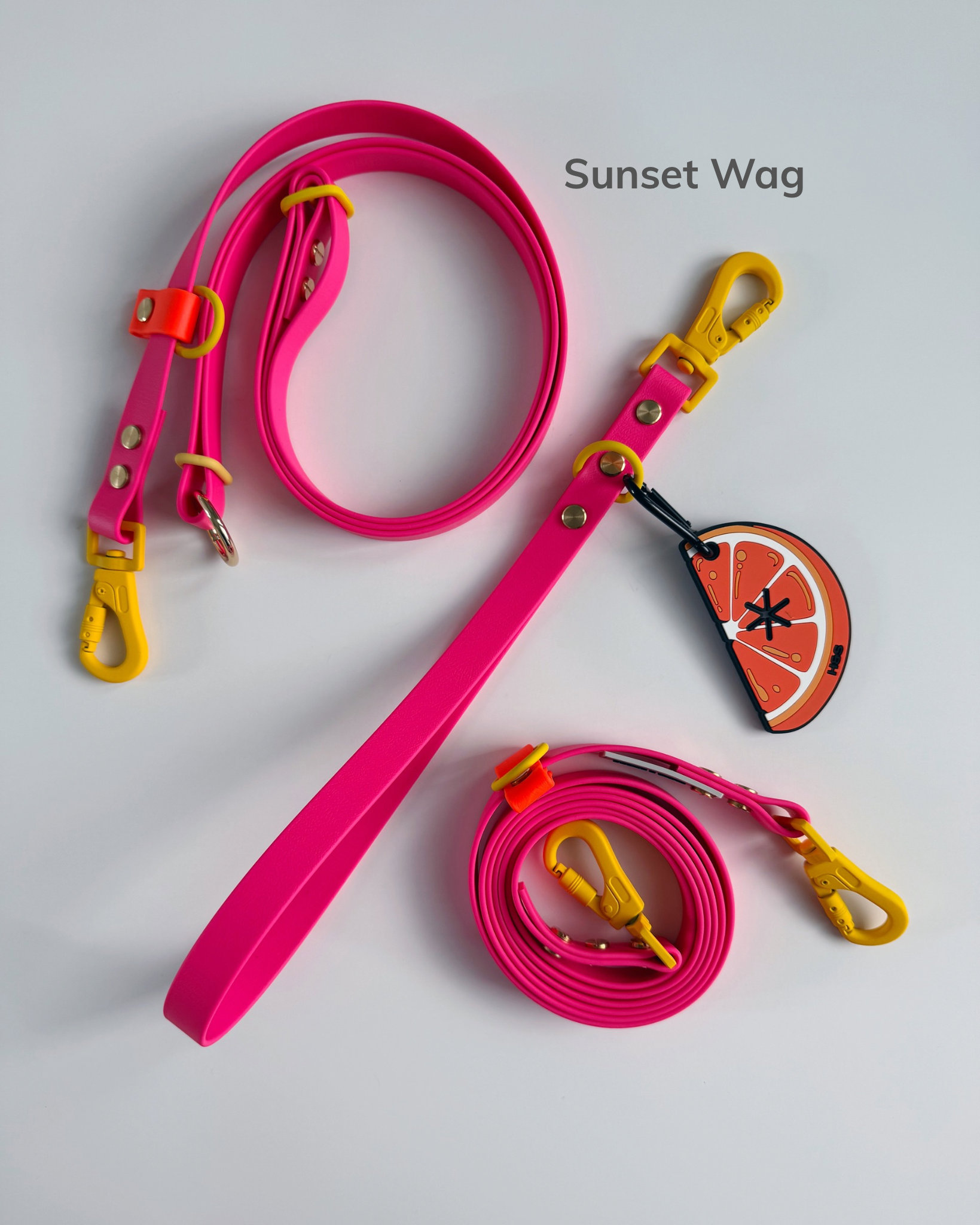Sunset Wag.png