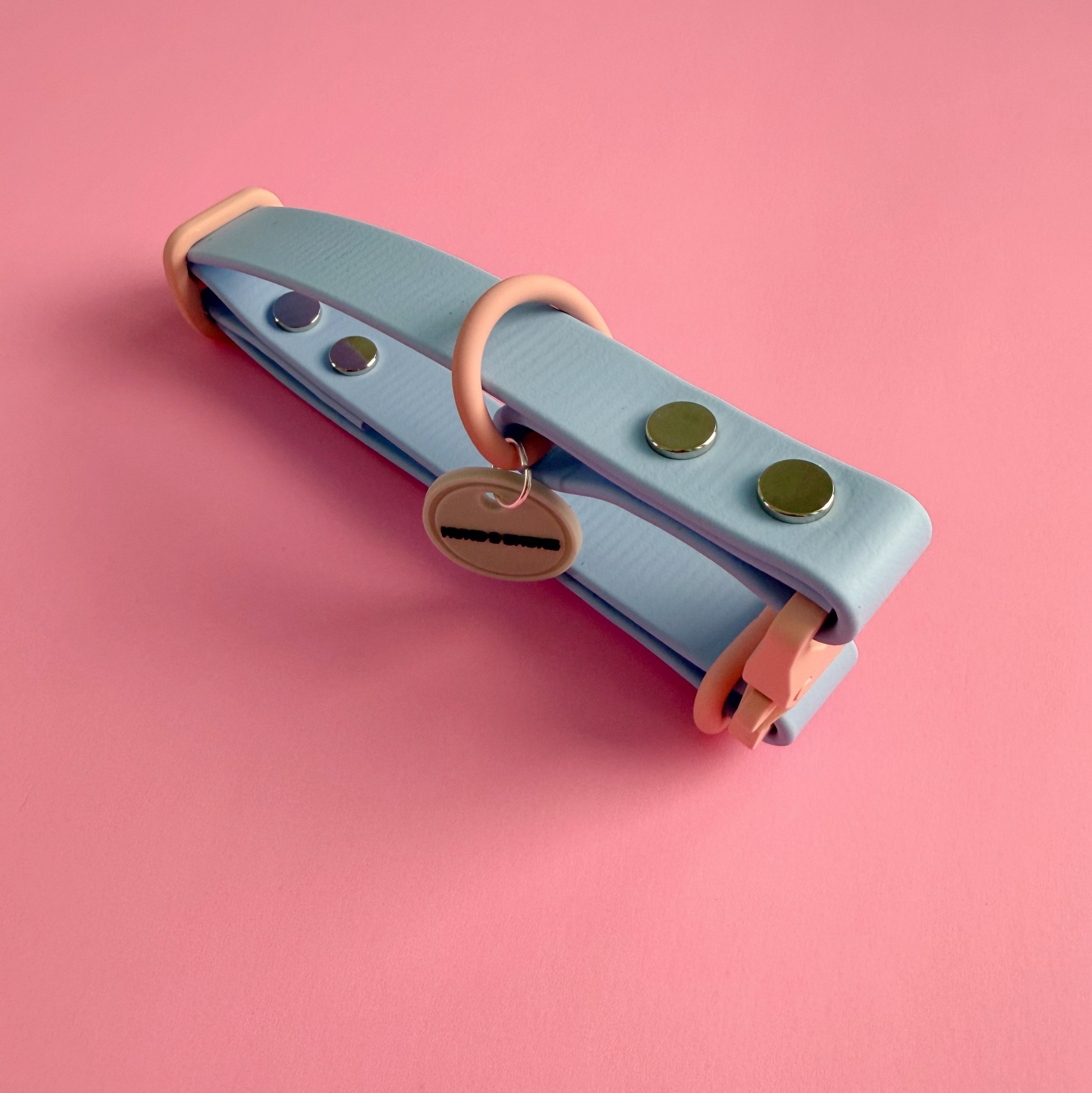 DOG COLLAR - ALPINE SKI CLUB - FRESH PAW-DER