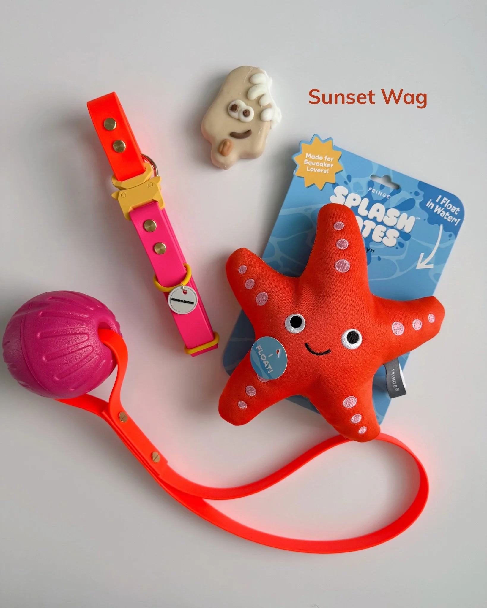 Rover Splash Collection waterproof biothane dog collar bundle options Sunset Wag Saltwater Snout Rocket Pop and Splashberry by Hund and Shore
