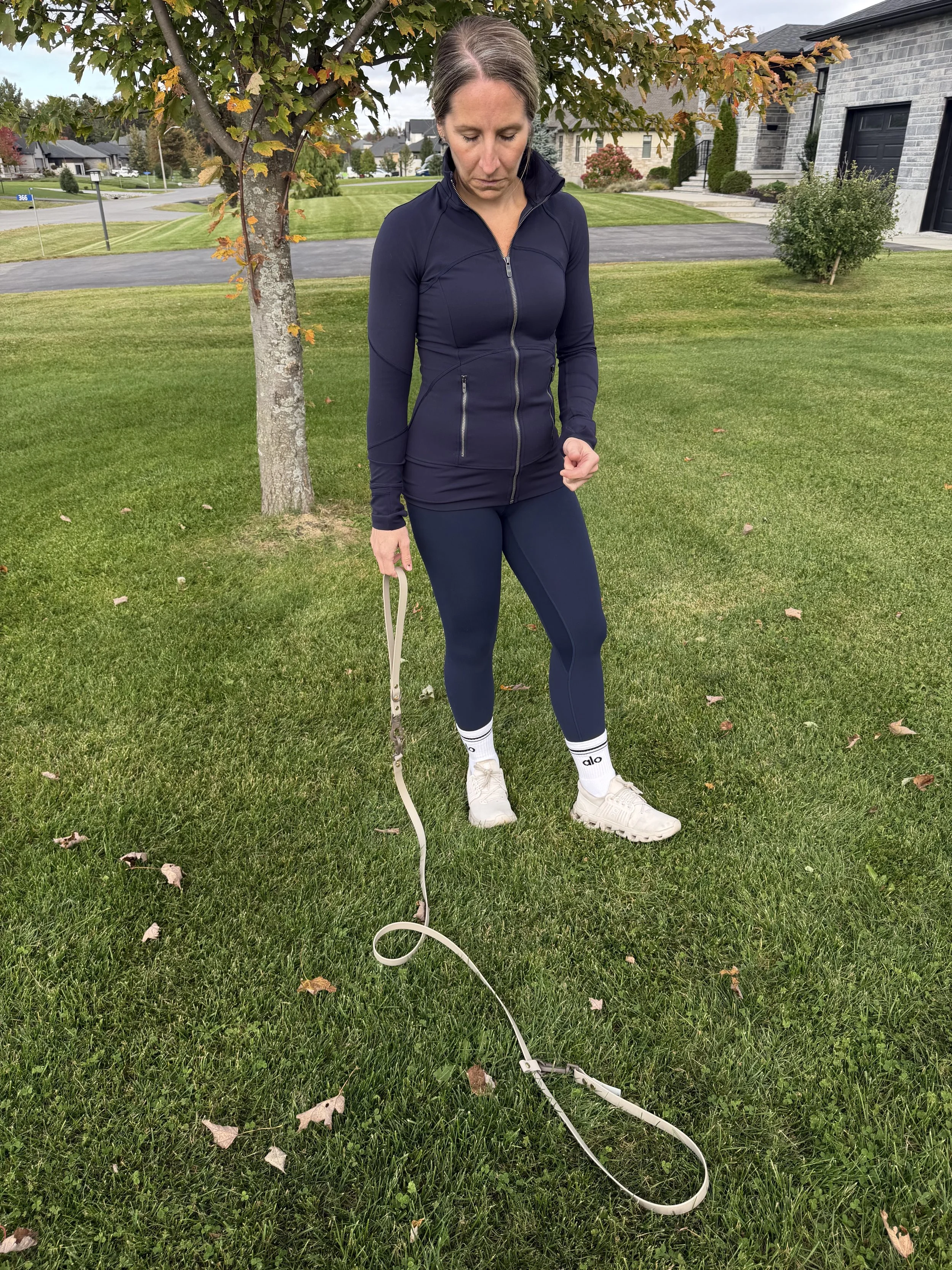 Hands-free dog leash waterproof