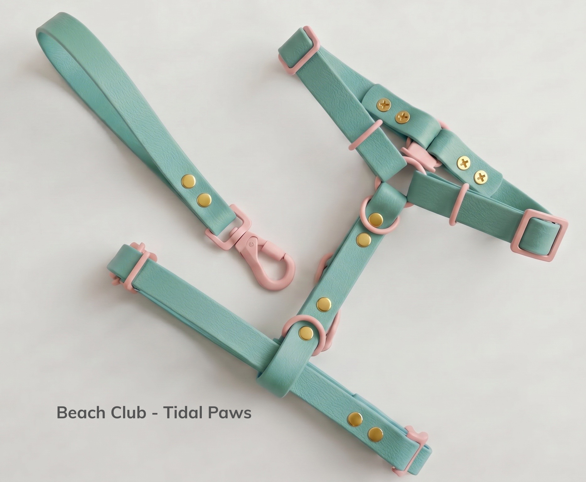 Beach Club - Tidal Paws.png