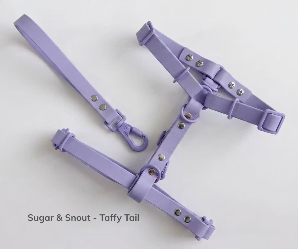 Sugar & Snout - Taffy tail.png