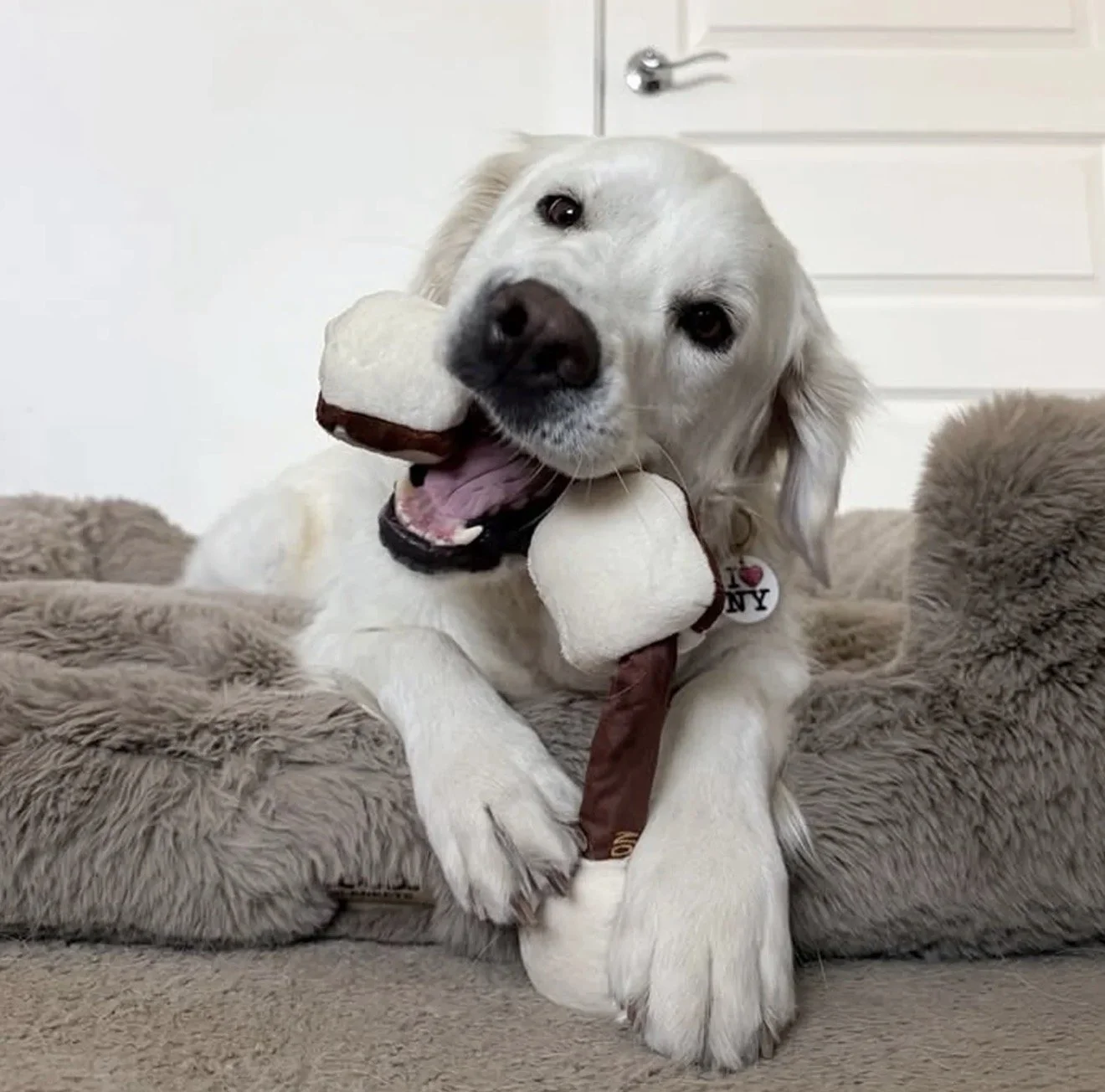 Dog playing with the Chewffon S'mores Stick plush enrichment toy with squeakers and crinkle paper from Hund and Shore