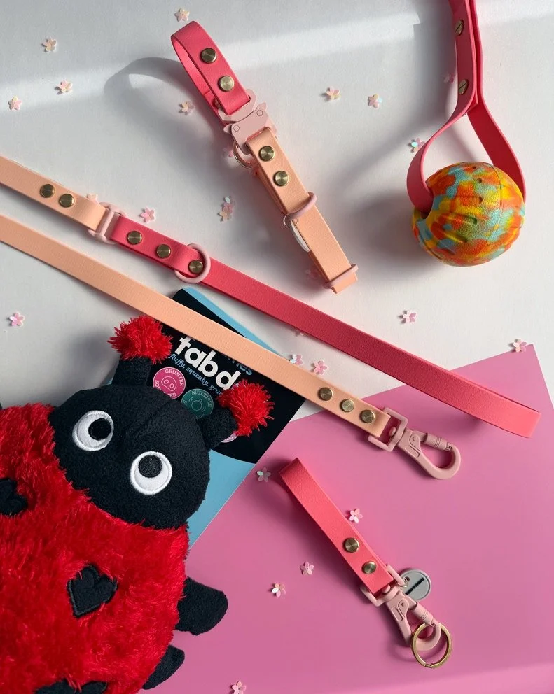 Rosy Wag two tone coral pink and peach biothane dog collar and leash set with light pink hardware from the Flora Collection by Hund and Shore