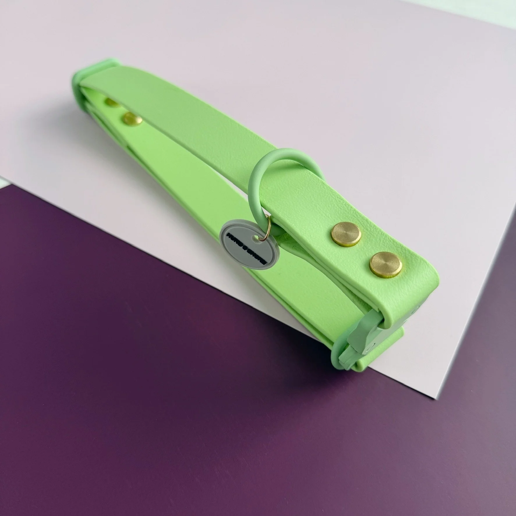 Sweet Pea pastel green biothane dog collar with matching pastel green hardware from the Flora Collection by Hund and Shore