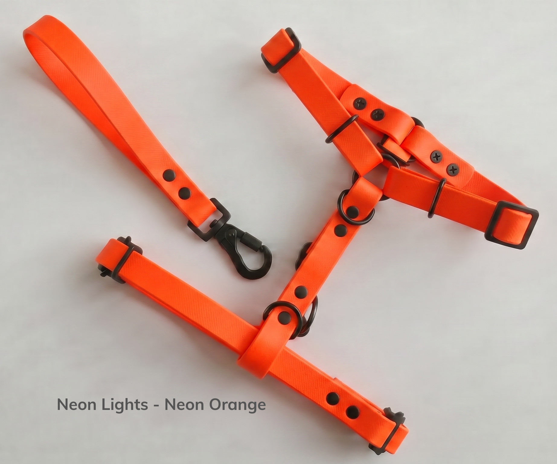 Neon Lights - Neon Orange.png