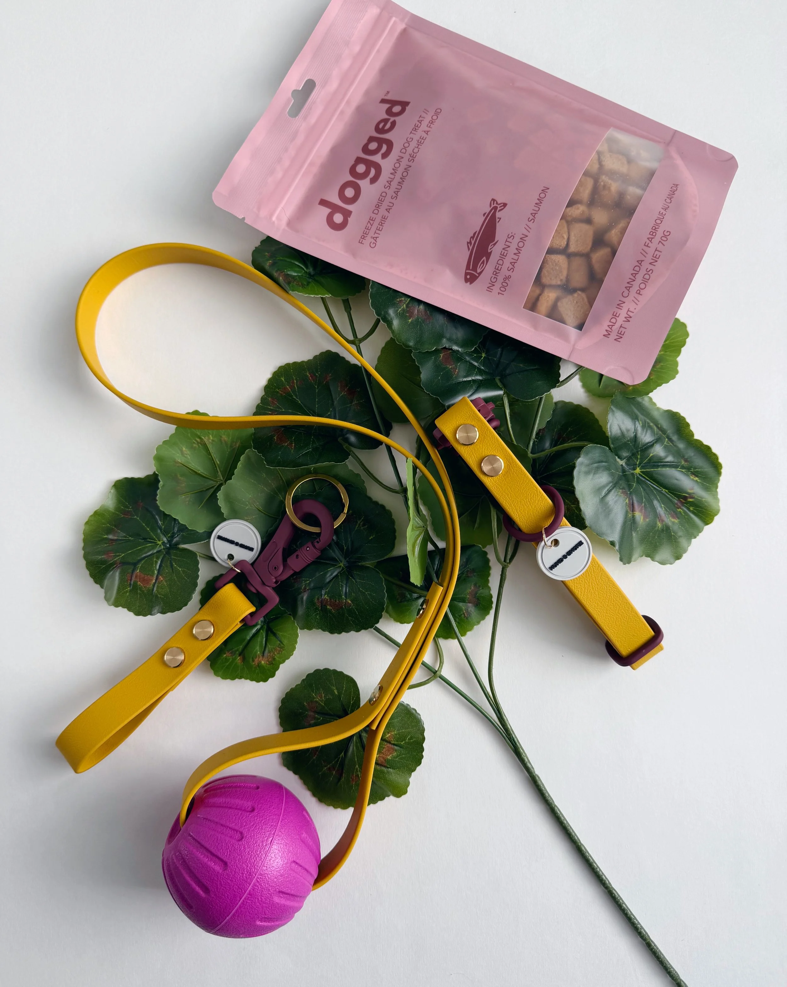 JUMP INTO SPRING PACK - DOG COLLAR, TOY, TREAT BUNDLE w/KEYCHAIN