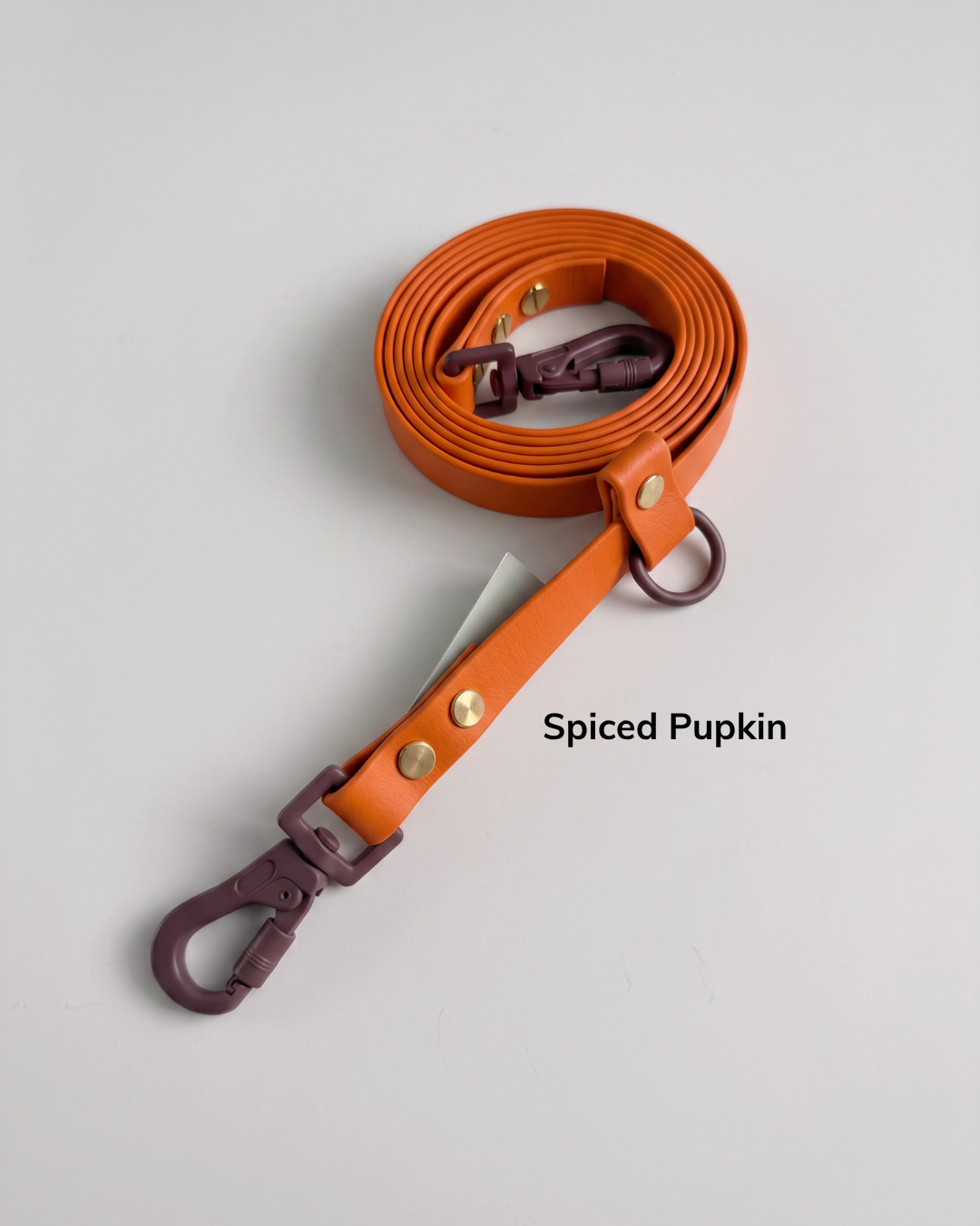 Spiced Pupkin (1).png