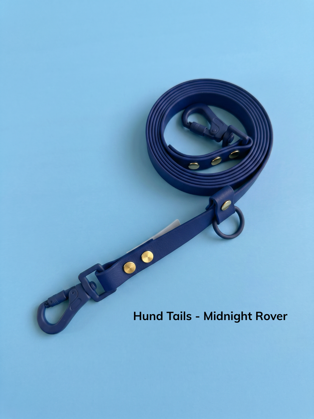 Hund Trails - Huckleberry (9).png