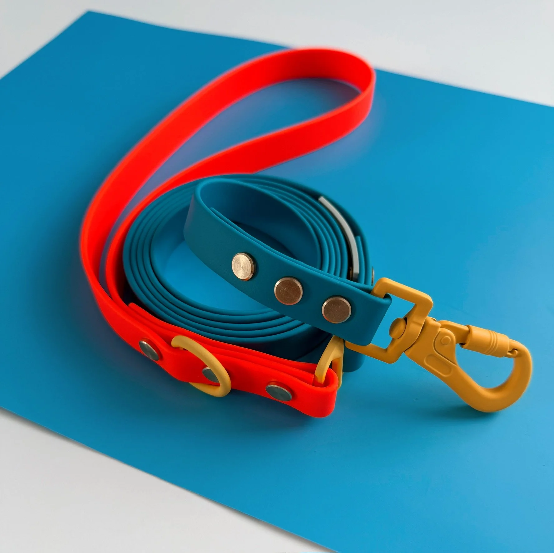 DOG LEASH - ROVER SPLASH - ROVER RUSH