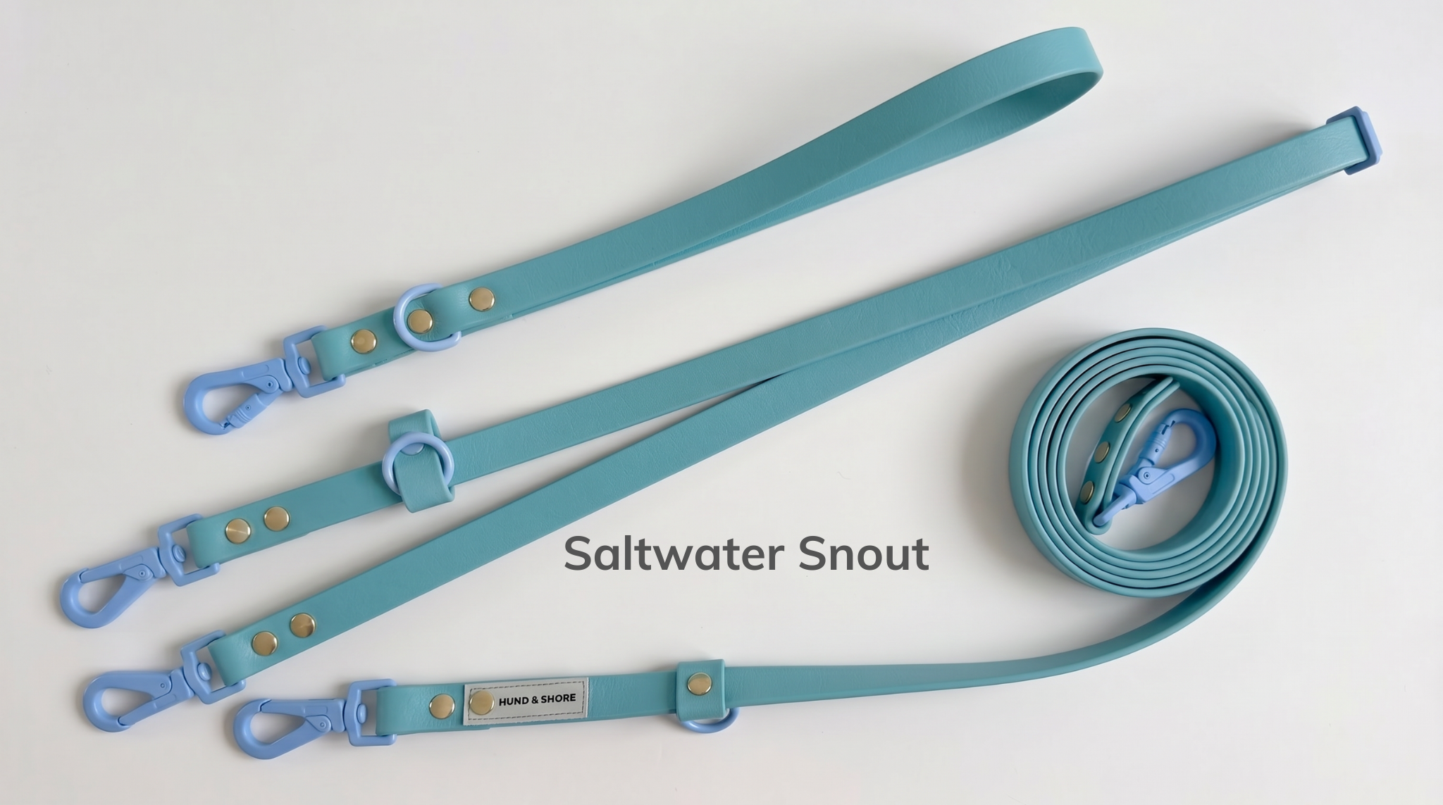 Saltwater Snout.png