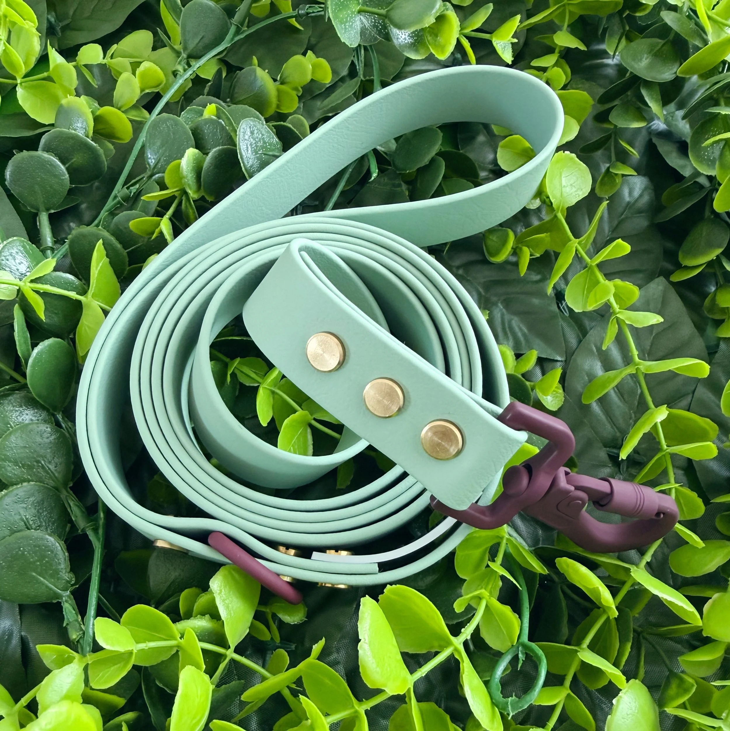 DOG LEASH - THE GROVE - DEWY PAWS