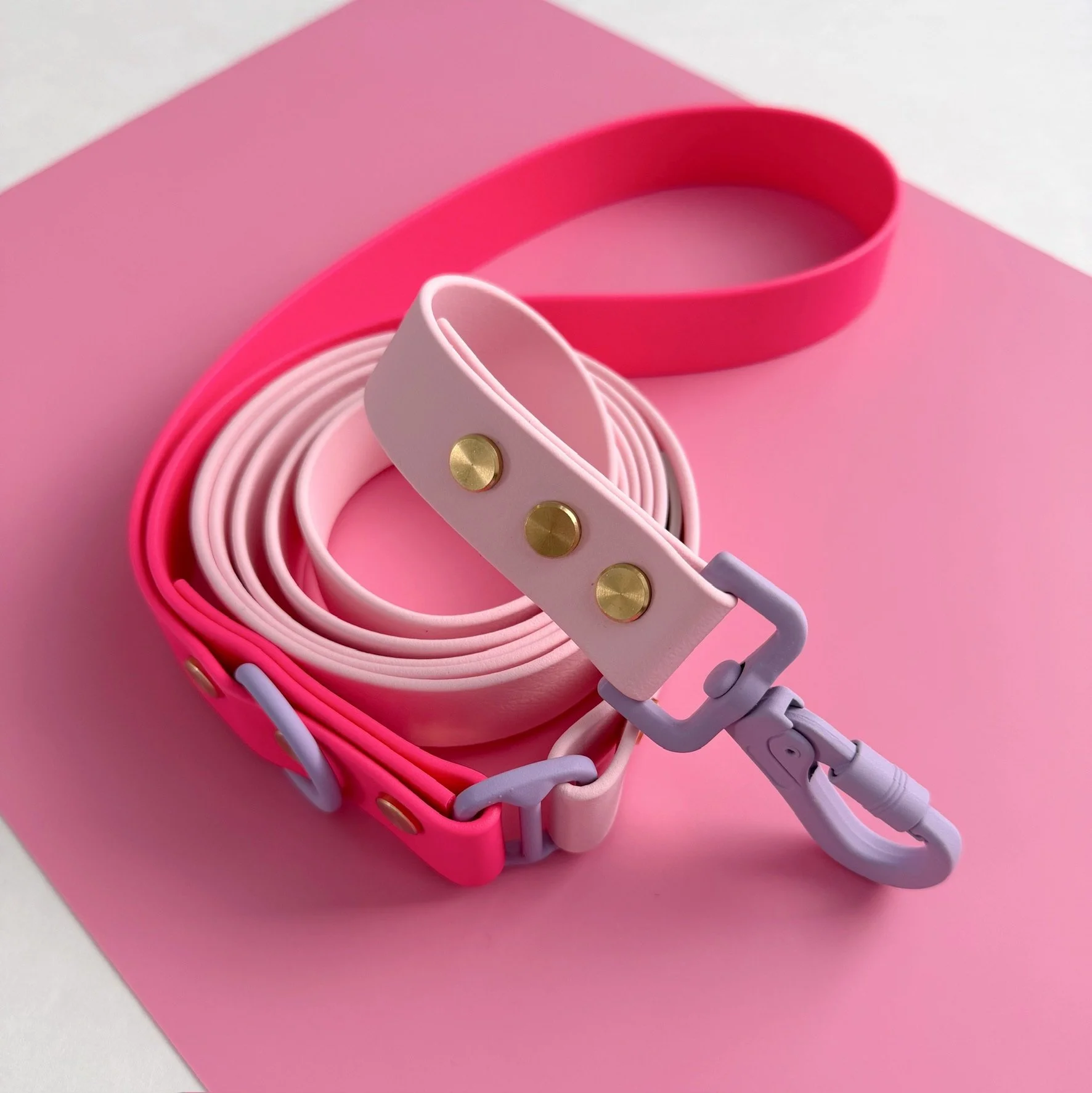 DOG LEASH - SWEET PAWS - PAWFECTION