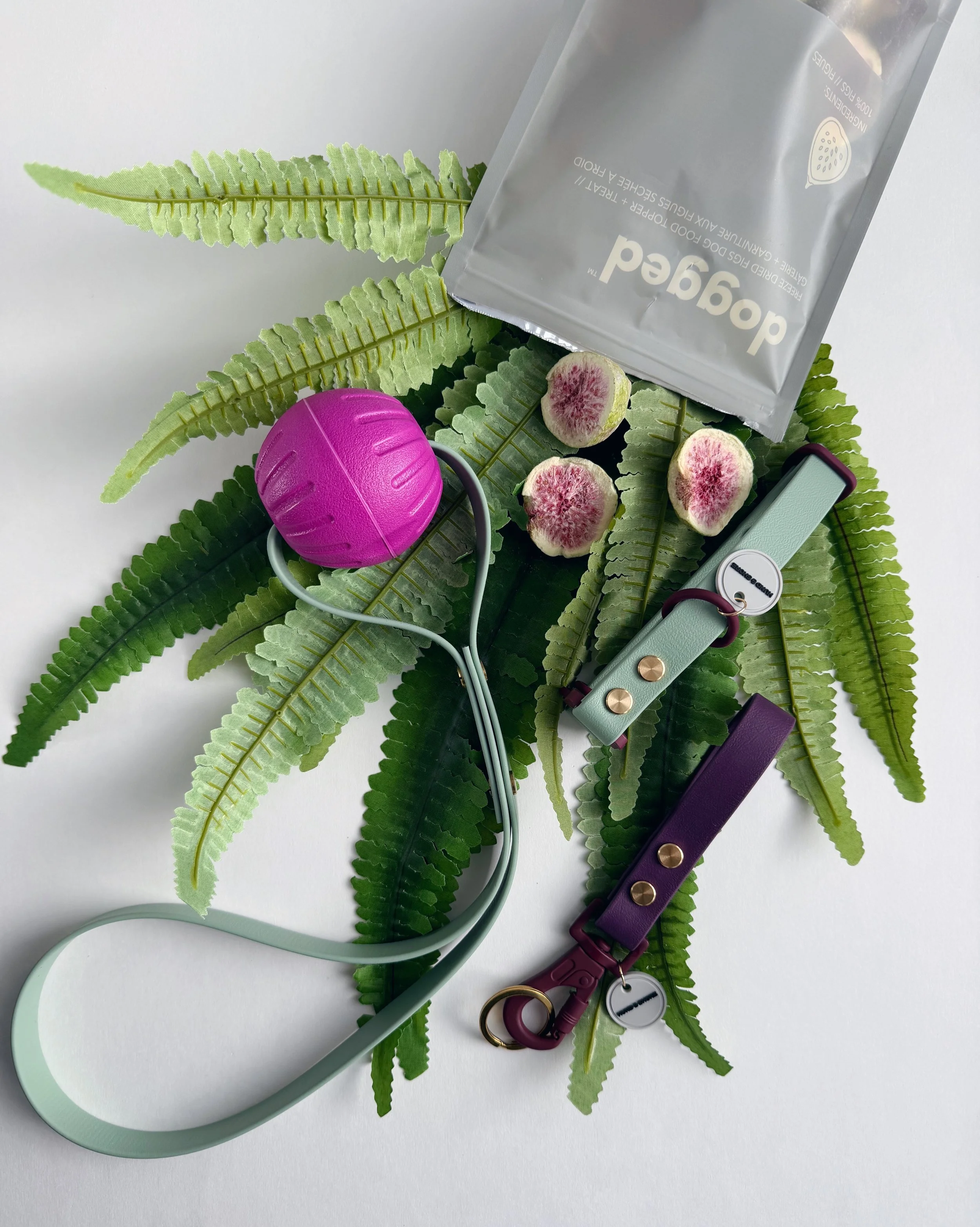 Jump into Spring bundle pack with Dewy Paws sage biothane dog collar Shore Clip keychain Dogged freeze dried treats and ball loop toy from Hund and Shore