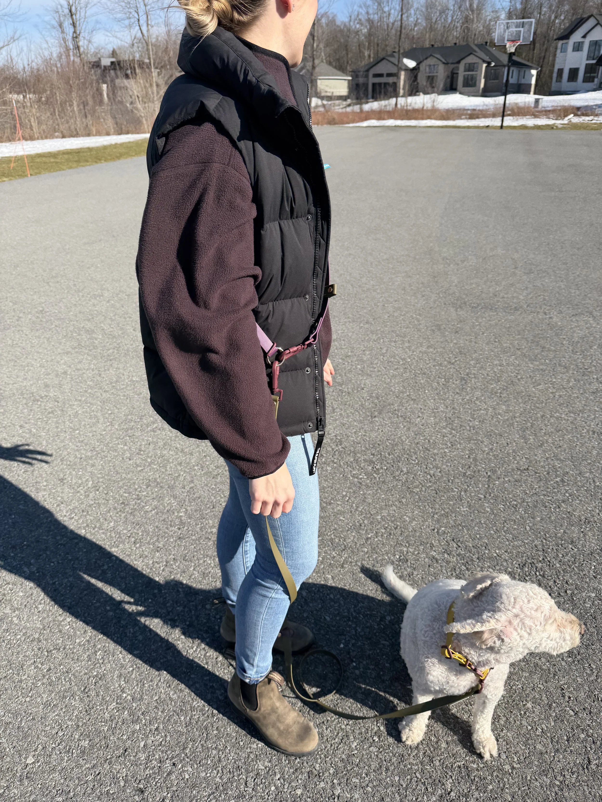 Woman walking dog with hands-free leash and golden doodle