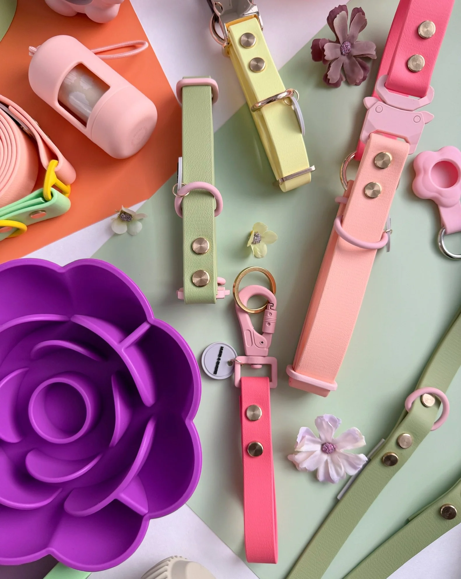 Flora Collection by Hund and Shore featuring Clover Run Rosy Wag Sunflower Fetch Dandelion Garden Bound and Sweet Pea biothane dog collars and leashes Spring 2026
