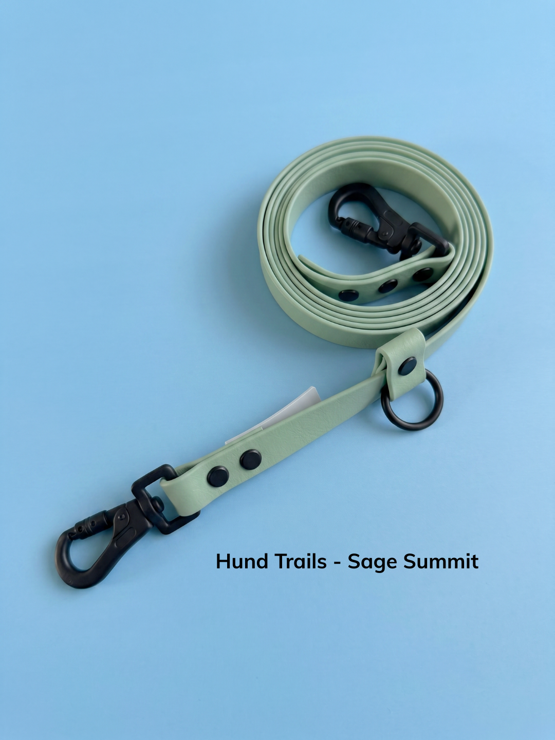 Hund Trails - Huckleberry (5).png