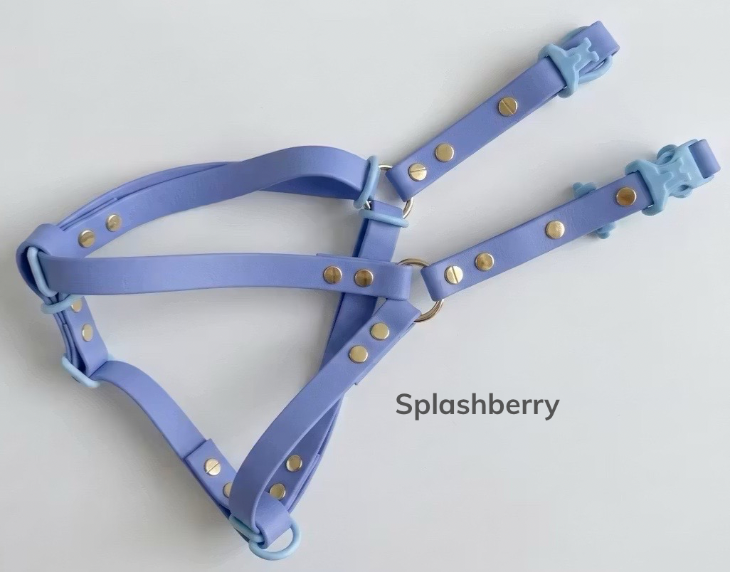 Splashberry.png